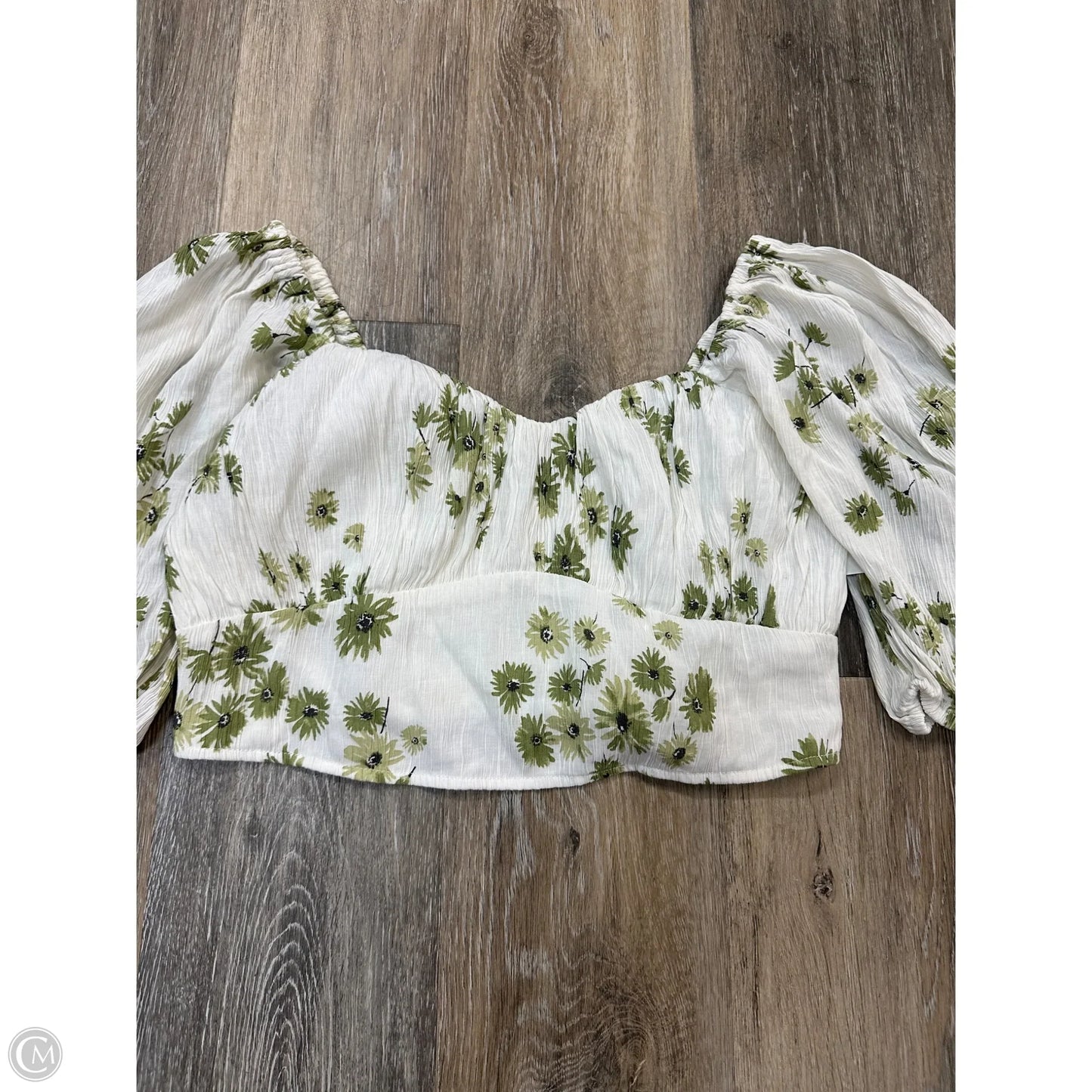 Blouse Long Sleeve By Abercrombie And Fitch In Green & White, Size: M