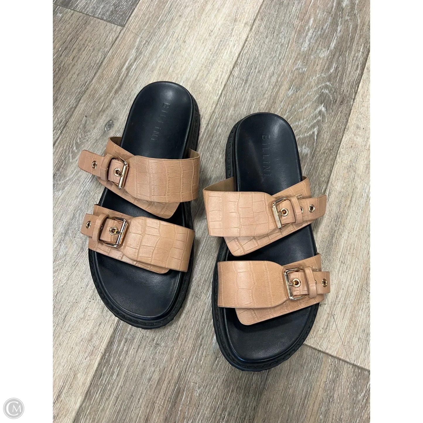 Sandals Flats By Billini In Tan, Size: 7