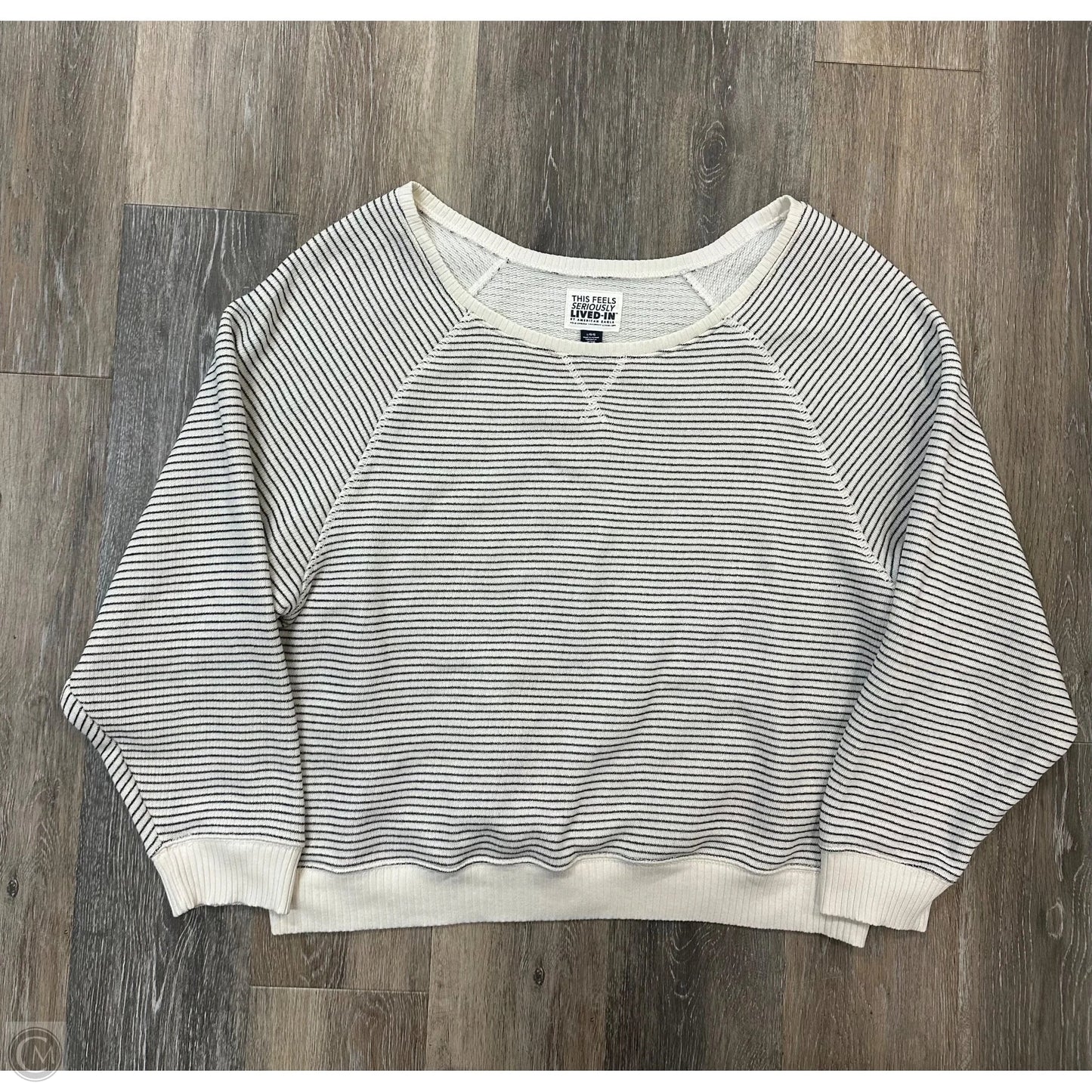 Top Long Sleeve By American Eagle In Striped Pattern, Size: L