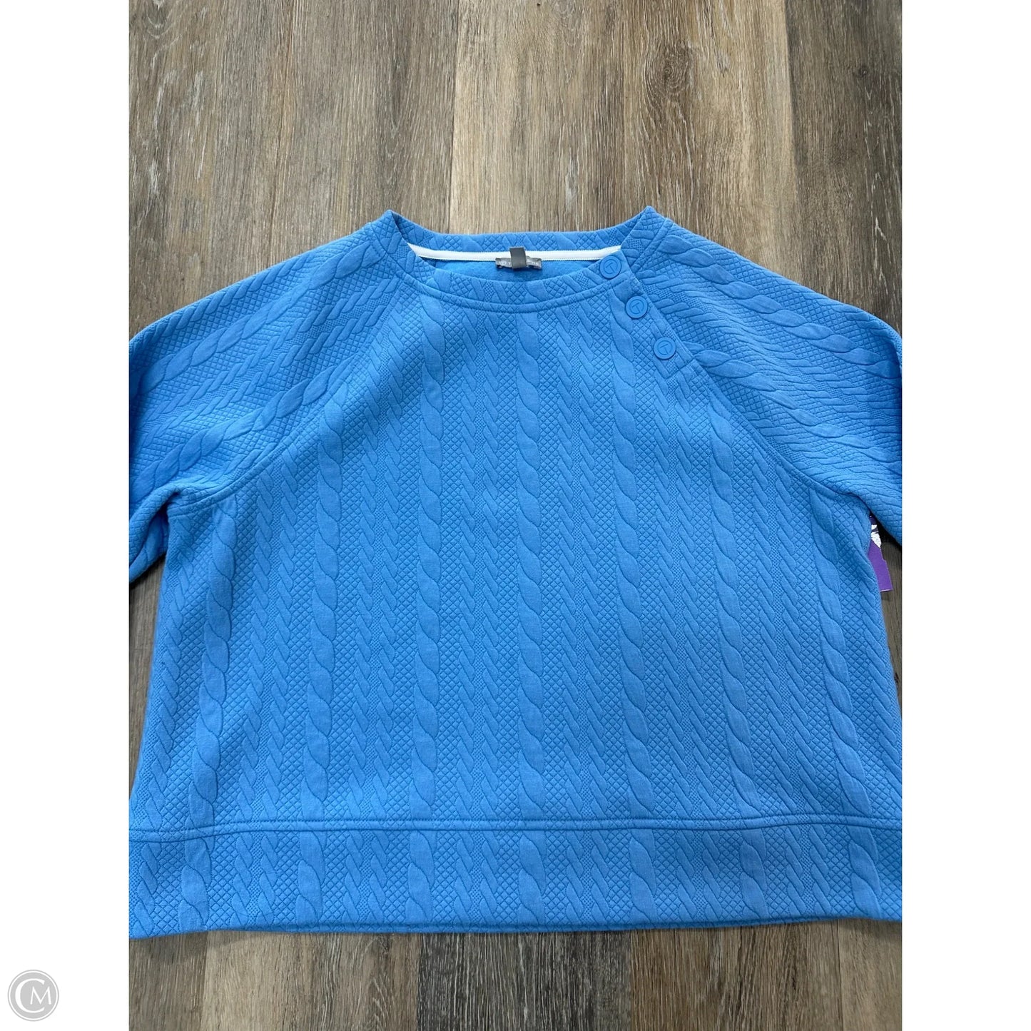Sweatshirt Crewneck By Talbots In Blue, Size: L