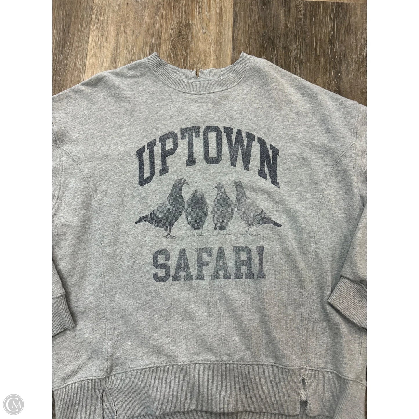 Sweatshirt Crewneck By Aerie In Grey, Size: S