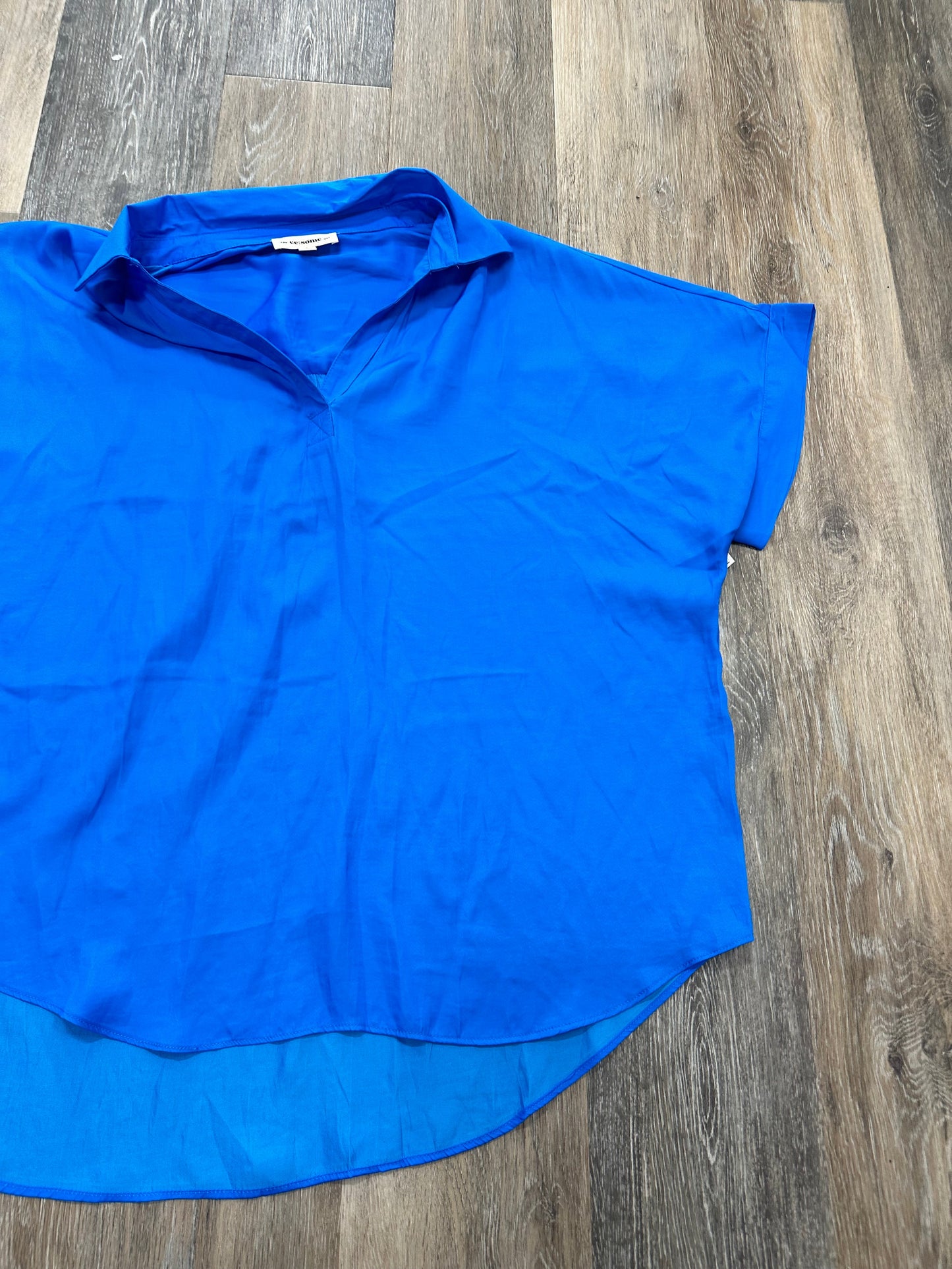 Blue Blouse Short Sleeve Eesome, Size L