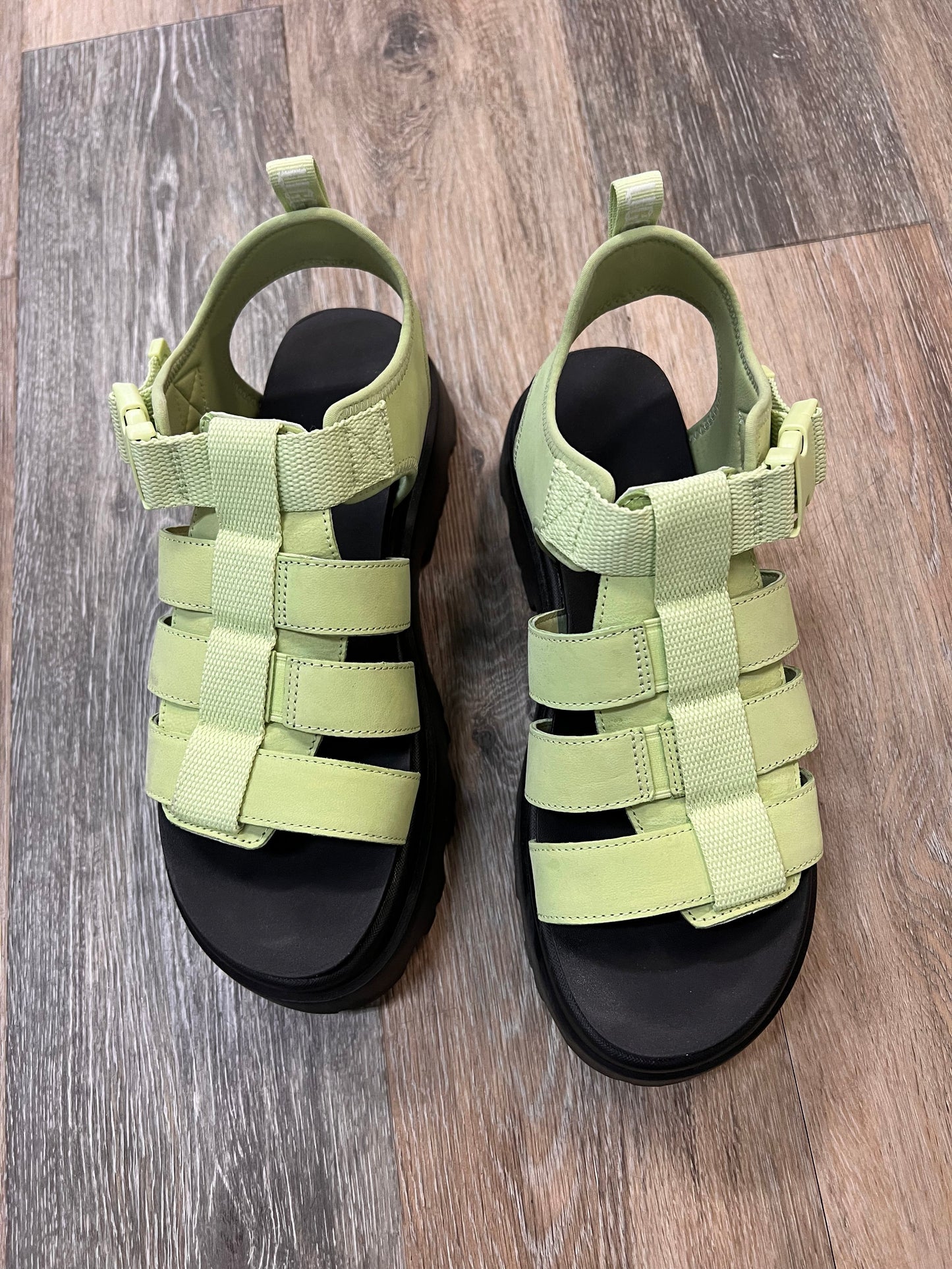 Sandals Designer By Ugg In Black & Green, Size: 9.5