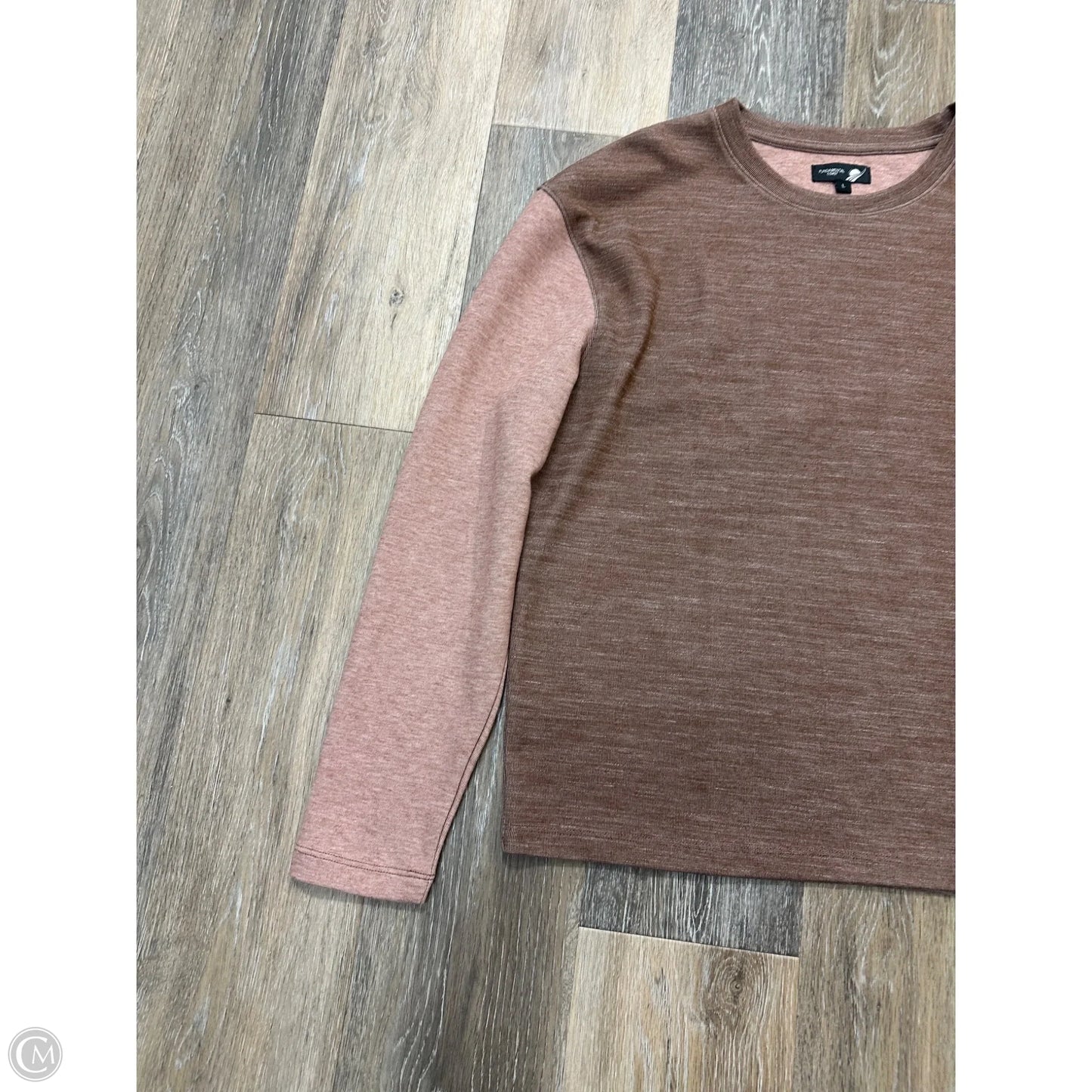 Top Long Sleeve By Fundamental Coast In Brown, Size: L