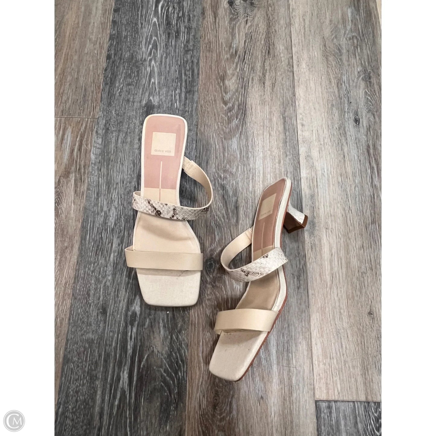 Sandals Heels Kitten By Dolce Vita In Snakeskin Print, Size: 8.5