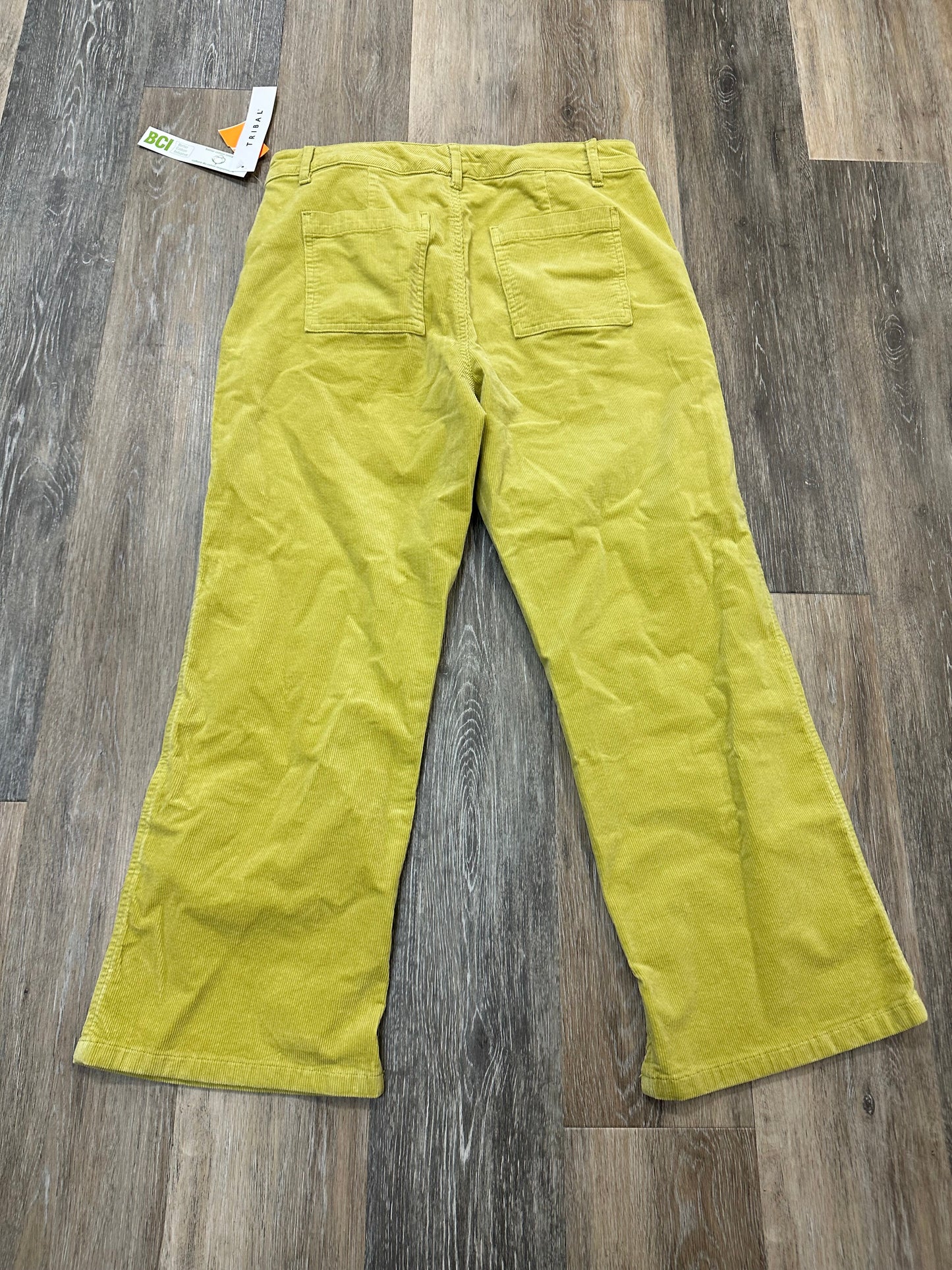 Pants Corduroy By Tribal In Green, Size: 10