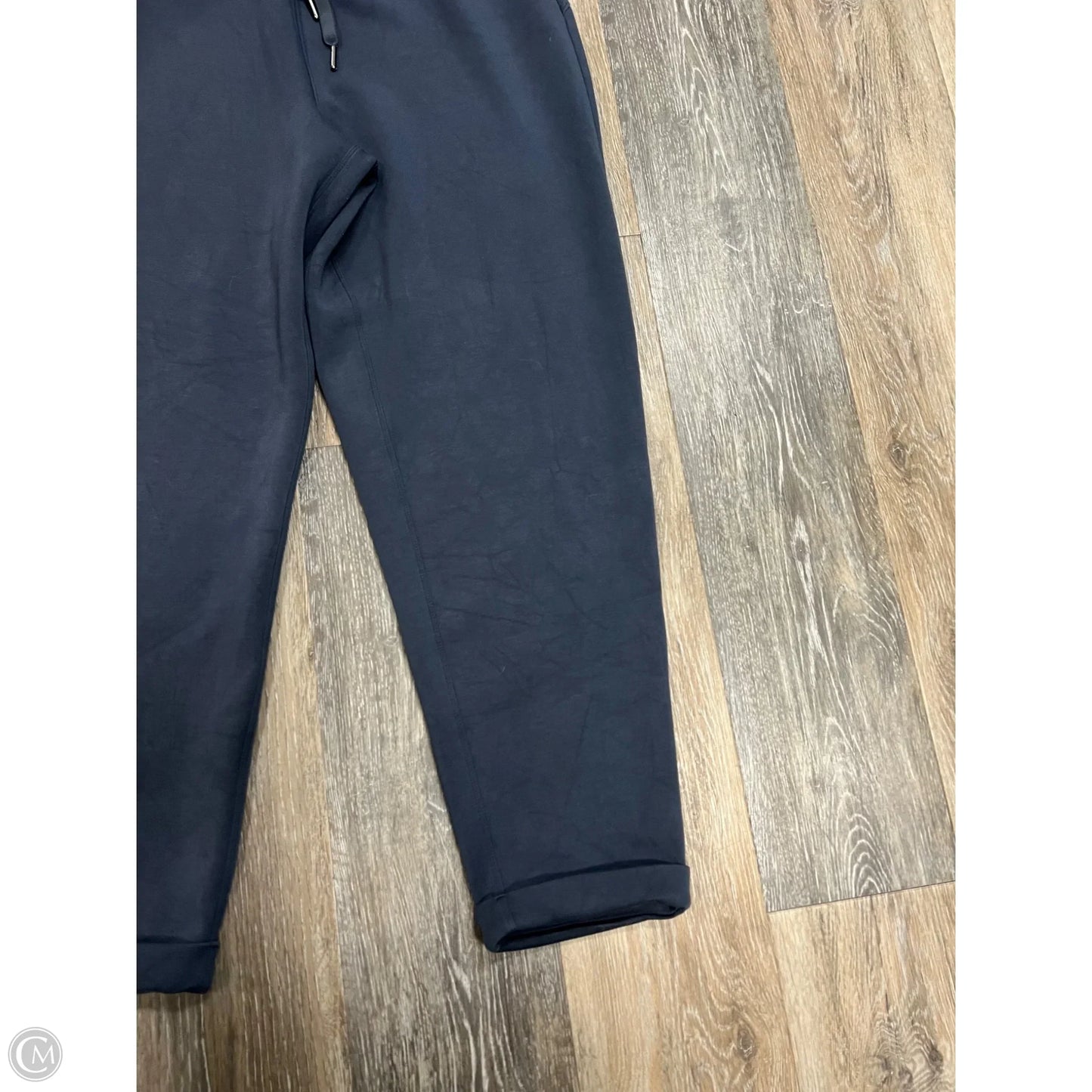 Athletic Pants By Spanx In Blue, Size: L