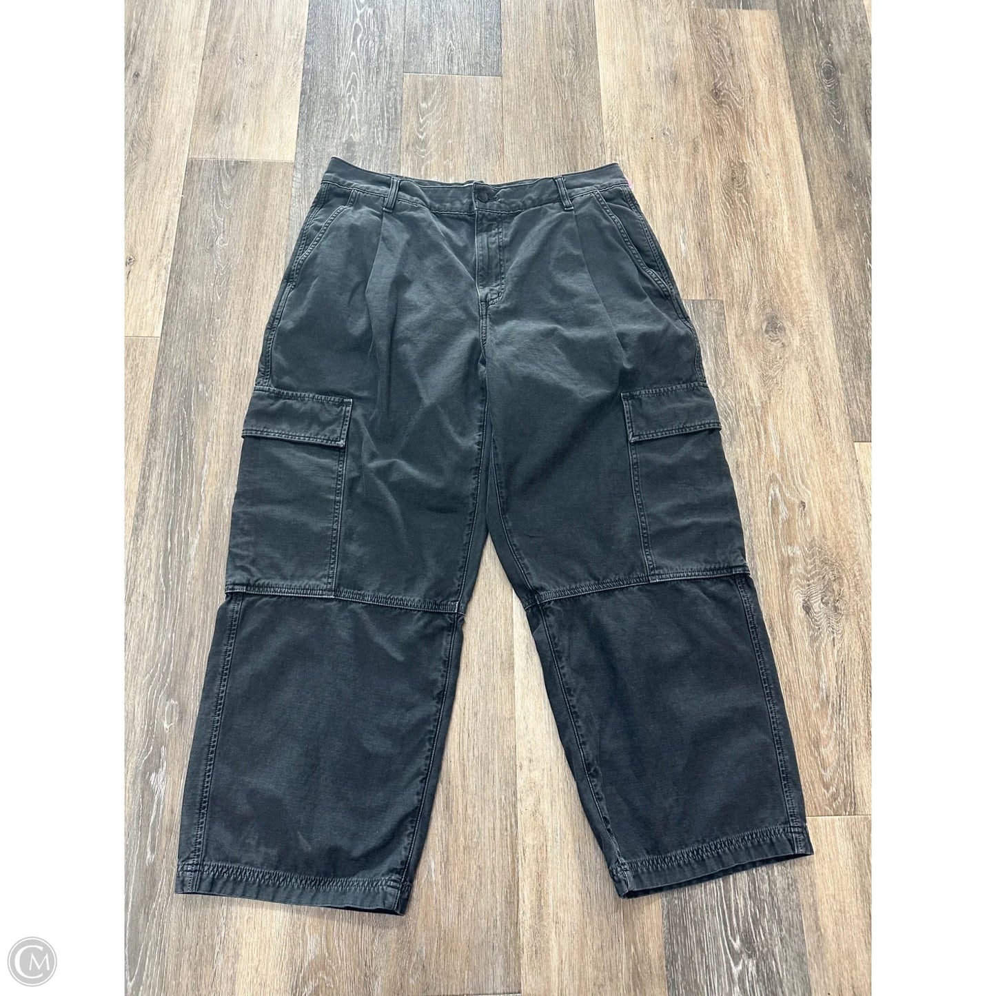 Pants Cargo & Utility By Agolde In Grey, Size: 12/31