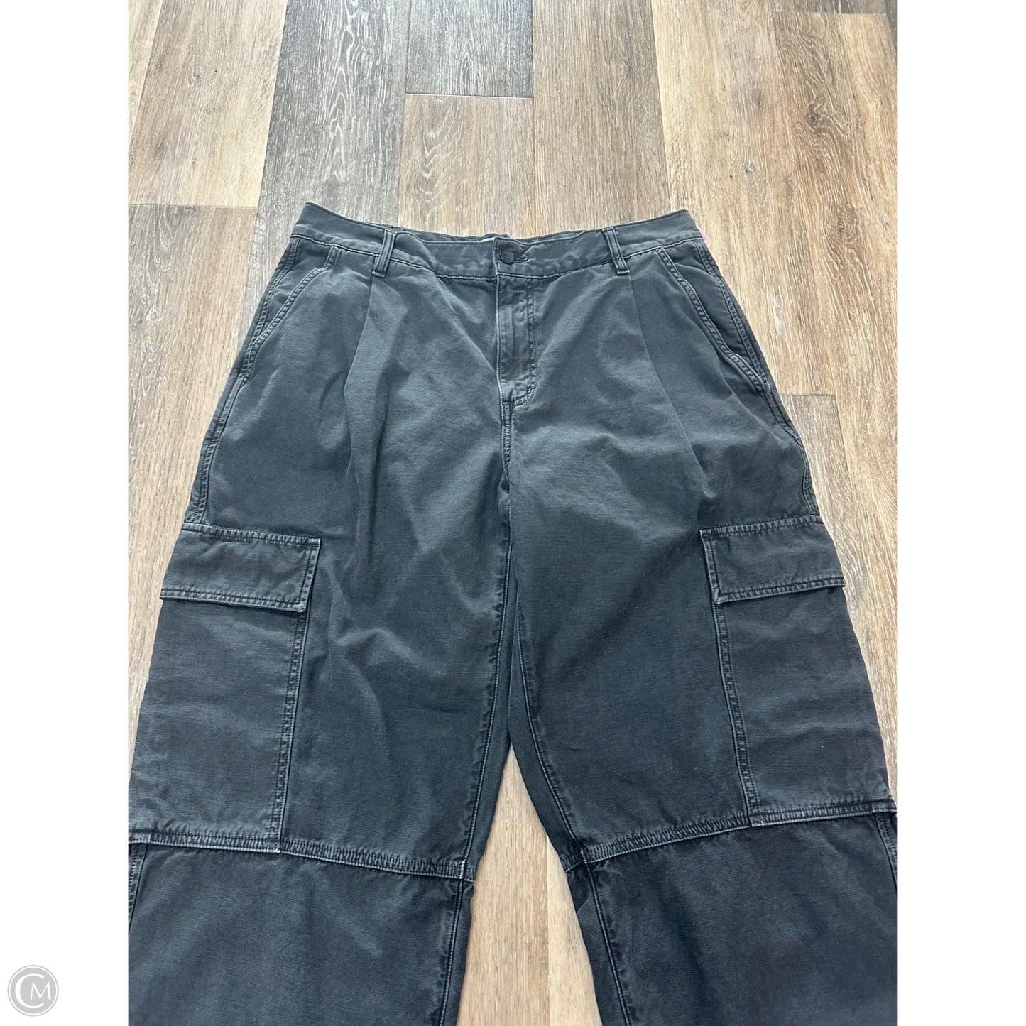 Pants Cargo & Utility By Agolde In Grey, Size: 12/31