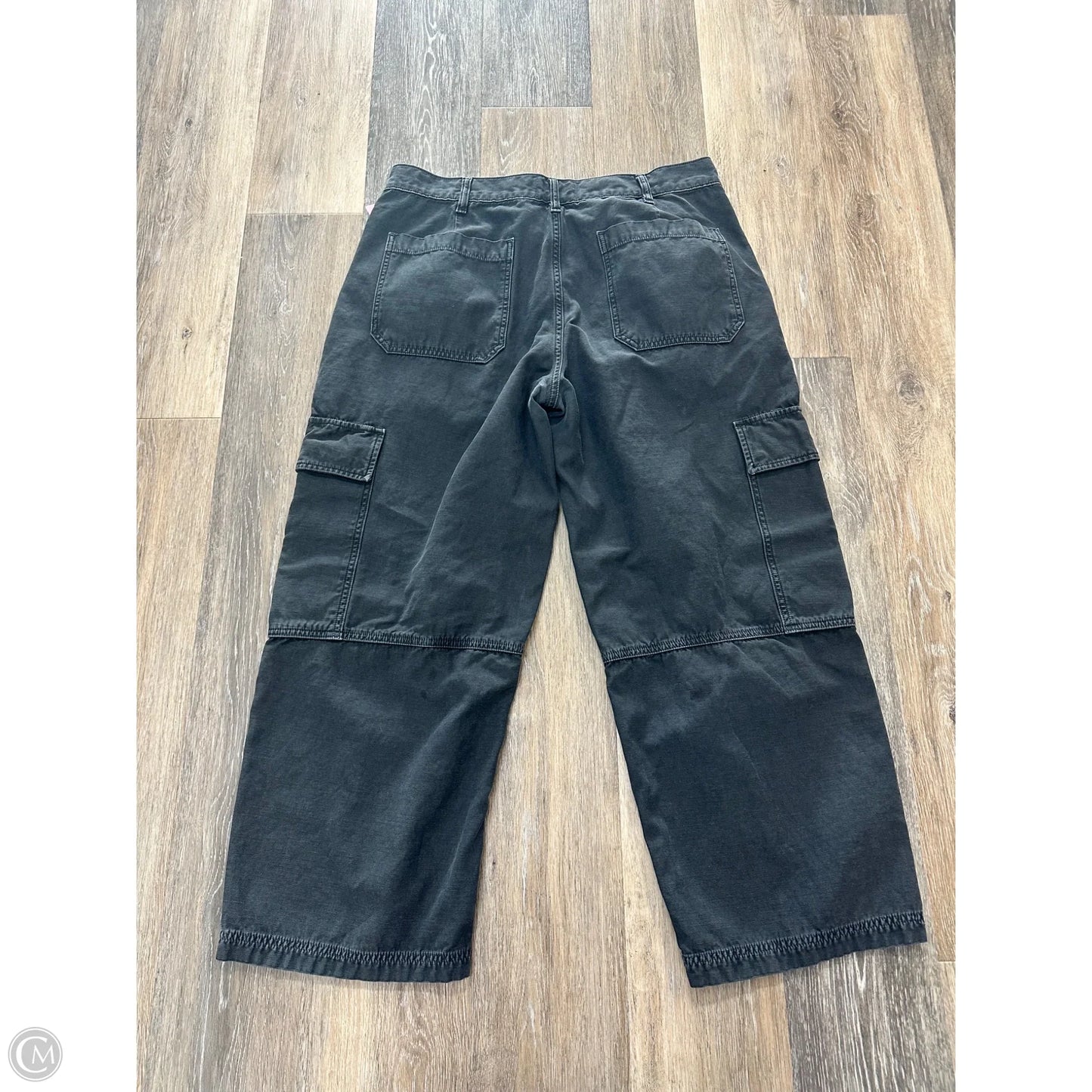 Pants Cargo & Utility By Agolde In Grey, Size: 12/31