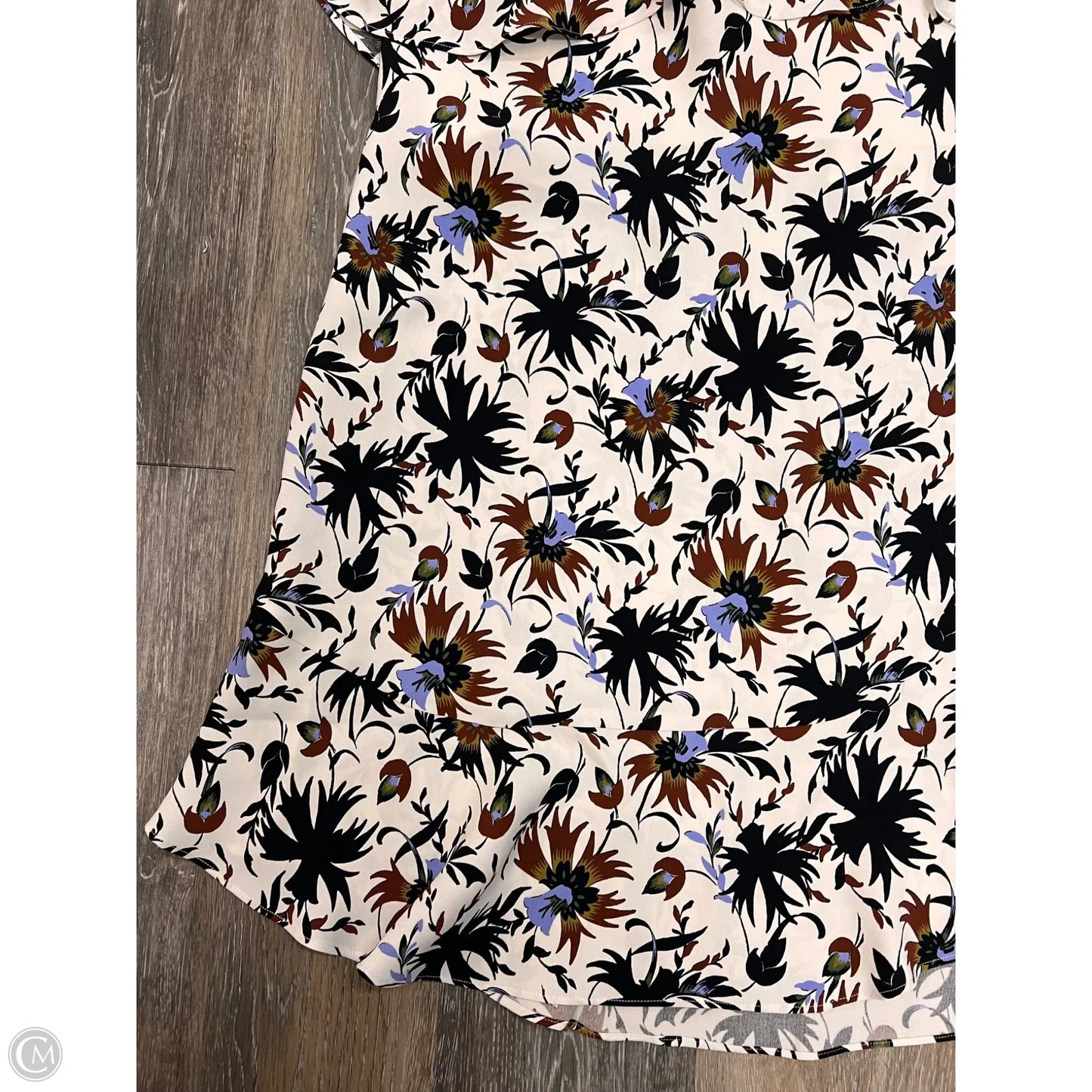 Dress Designer By Alc In Floral Print, Size: 8