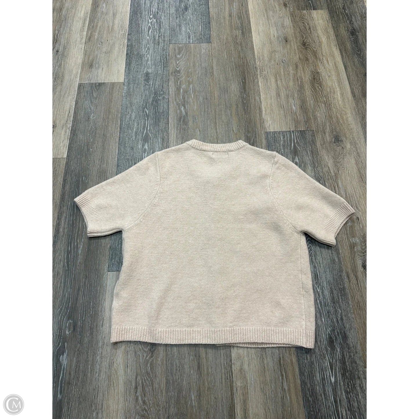 Sweater Short Sleeve By On 12th In Cream, Size: Xl
