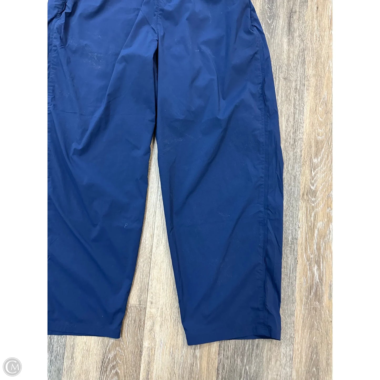 Athletic Pants By Madewell In Blue, Size: L