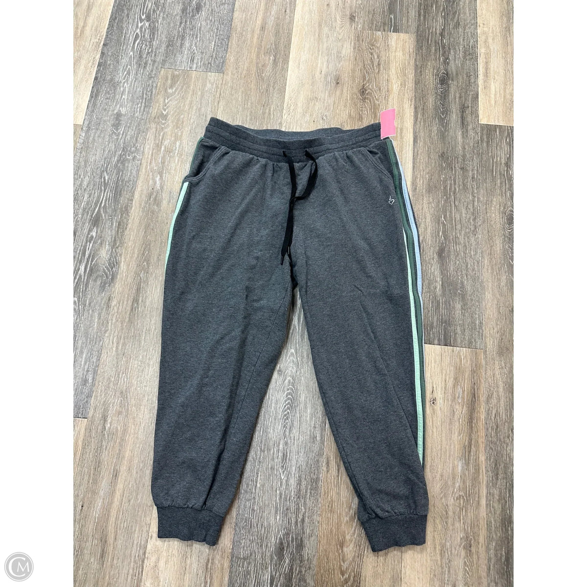 Athletic Pants By Torrid In Grey, Size: 1x