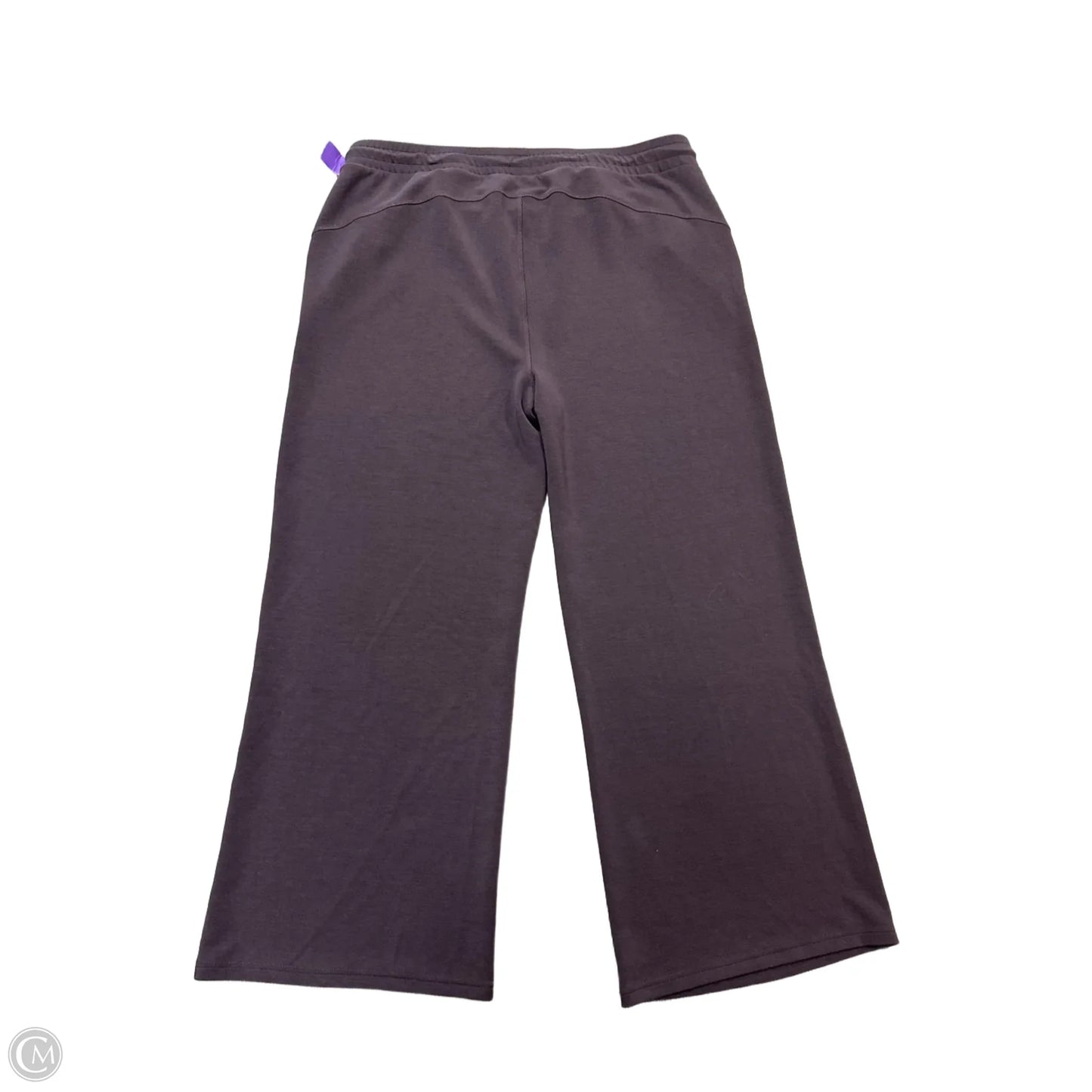 Athletic Pants By Recreations In Purple, Size: 2x