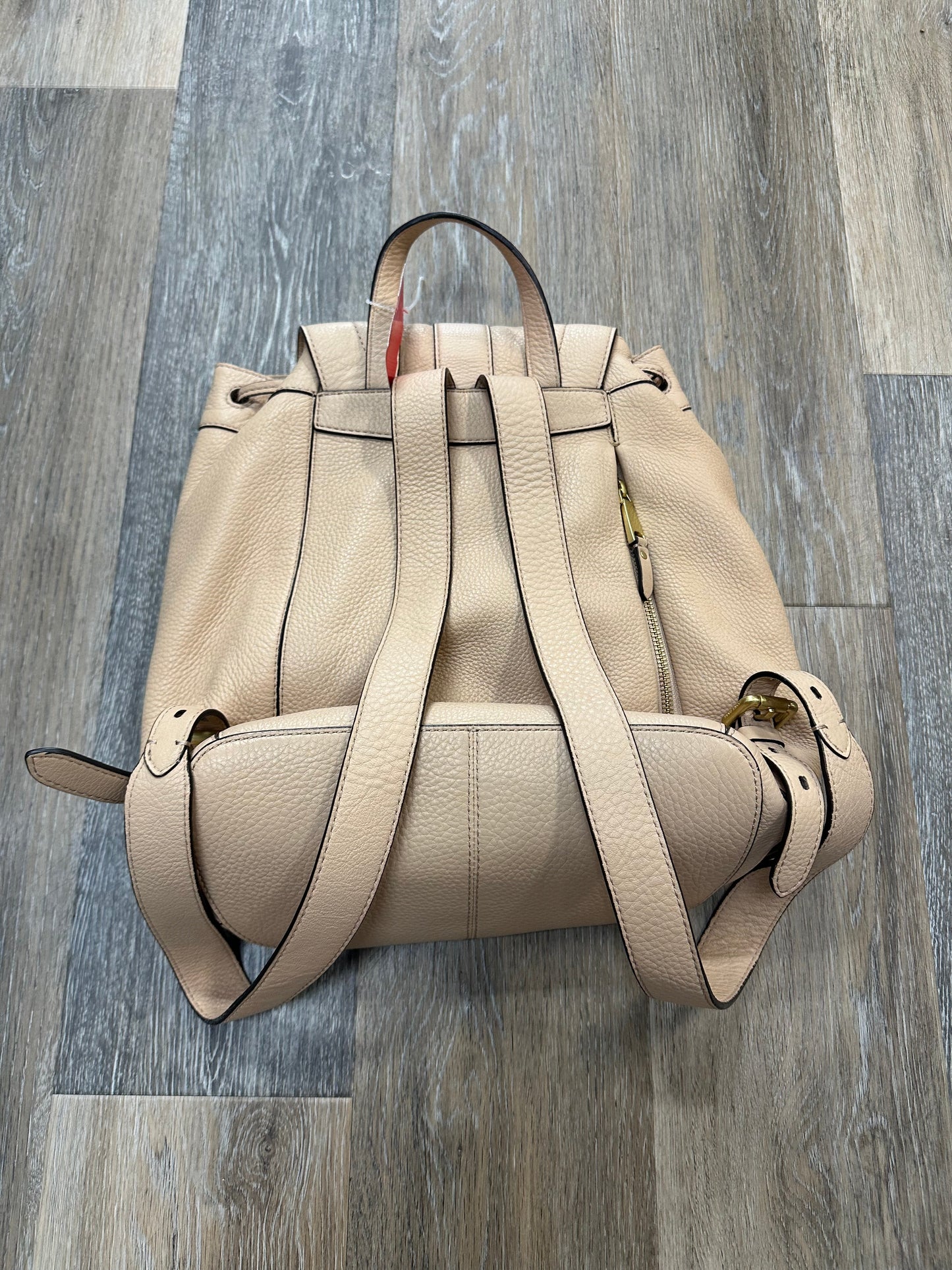 Backpack Designer Cole-haan, Size Medium