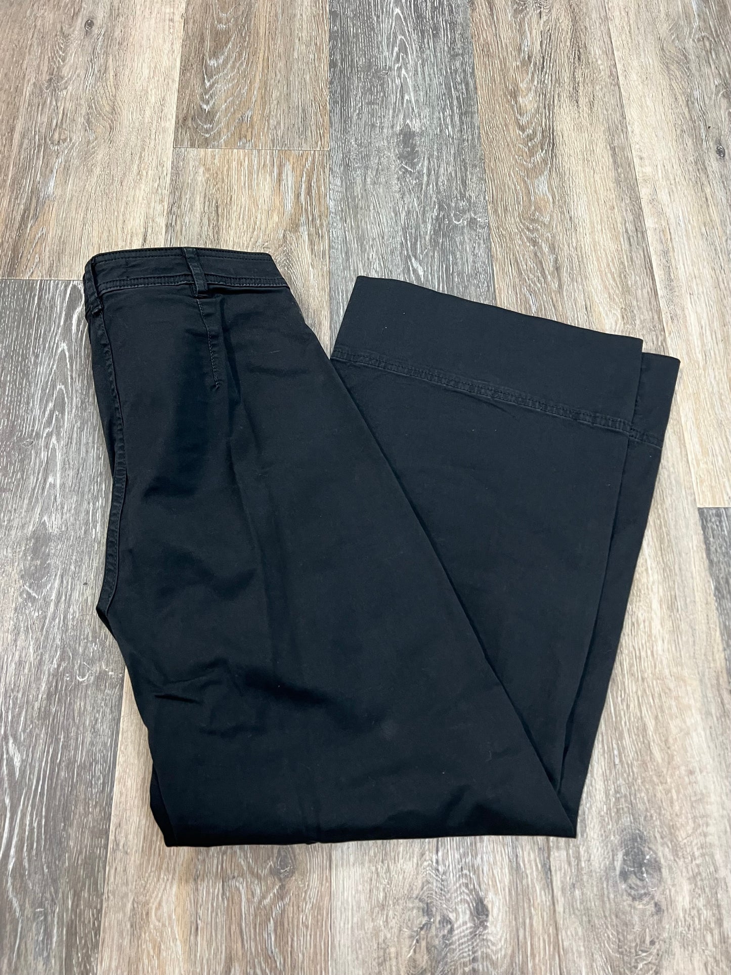 Pants Wide Leg Crop Chino By Everlane  Size: 2/26