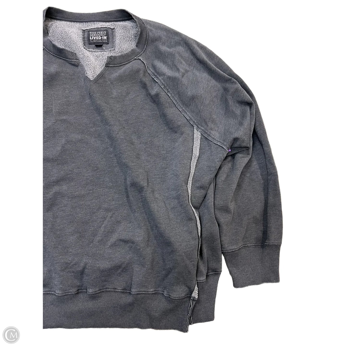 Sweatshirt Crewneck By Aerie In Grey, Size: Xl