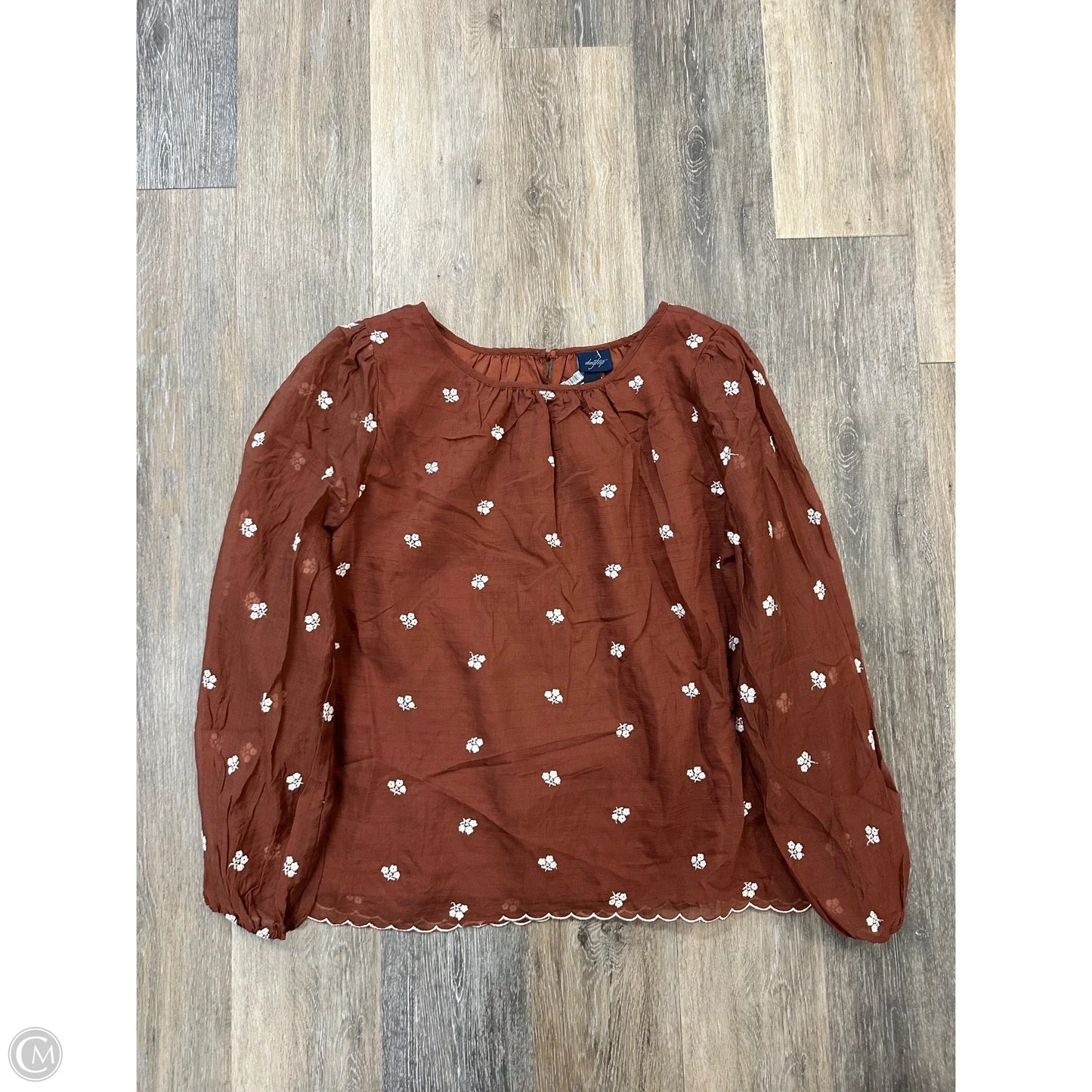 Blouse Long Sleeve By Daytrip In Brown, Size: Xl