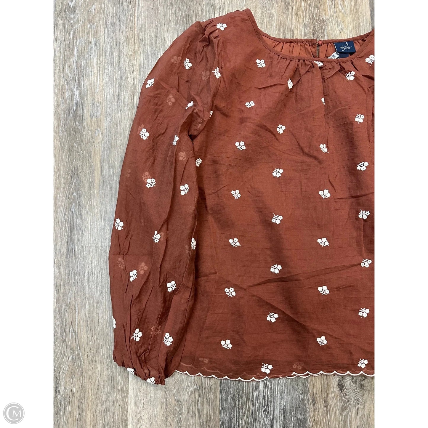Blouse Long Sleeve By Daytrip In Brown, Size: Xl
