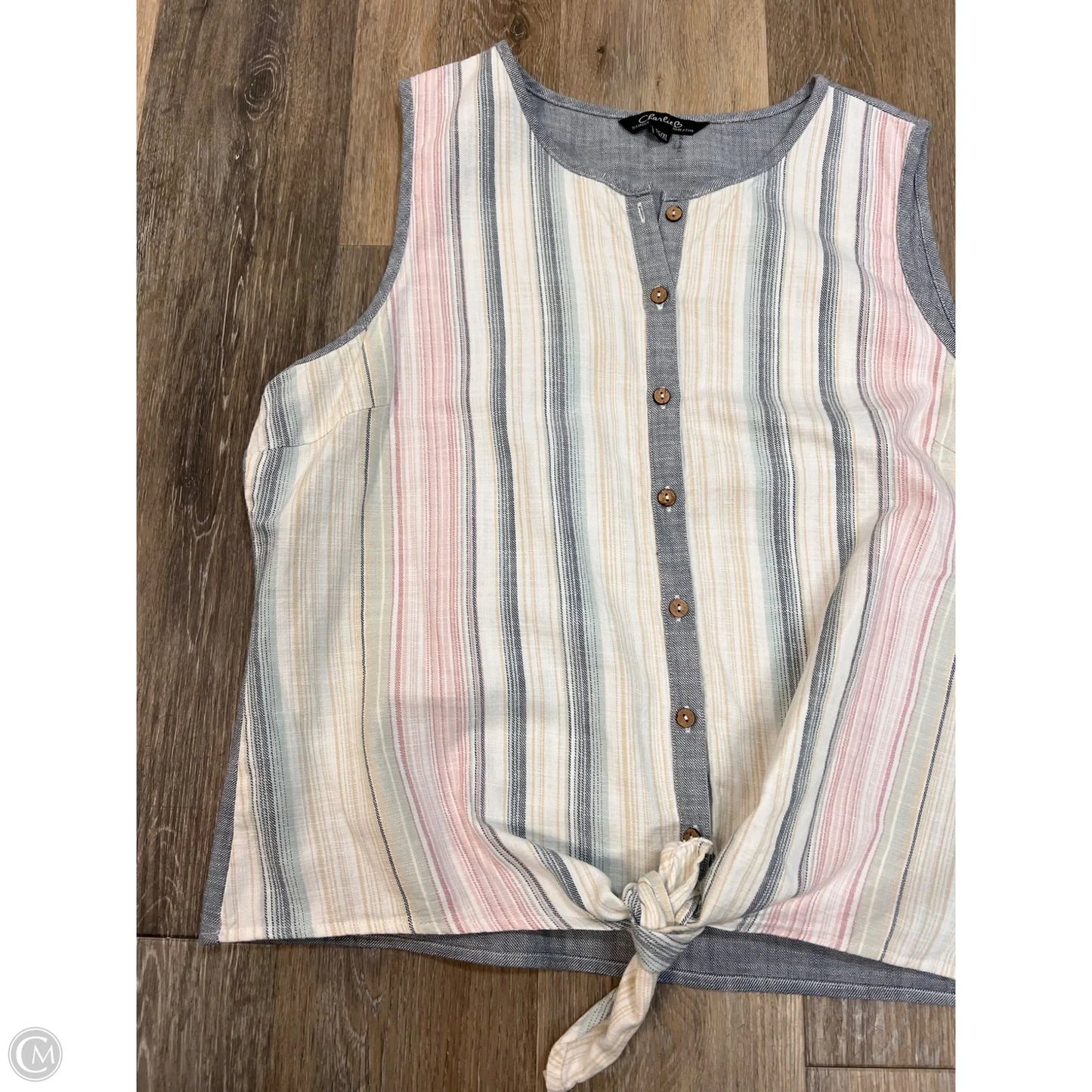 Top Sleeveless By Charlie B In Striped Pattern, Size: Xl