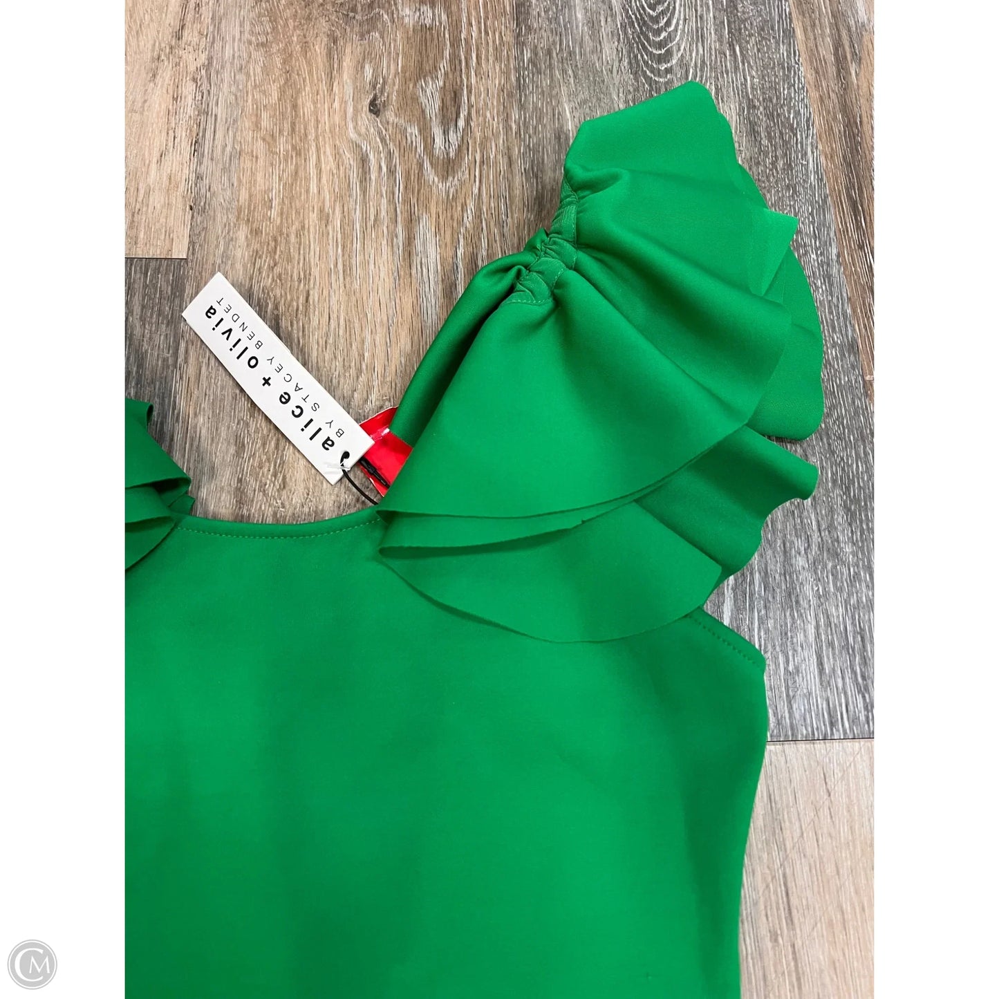 Bodysuit Designer By Alice + Olivia In Green, Size: S