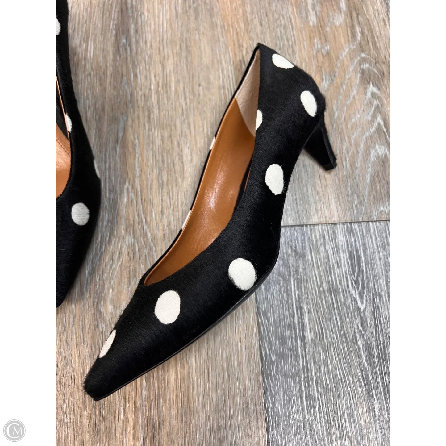 Shoes Designer By Marni In Polkadot Pattern, Size: 7.5/37.5