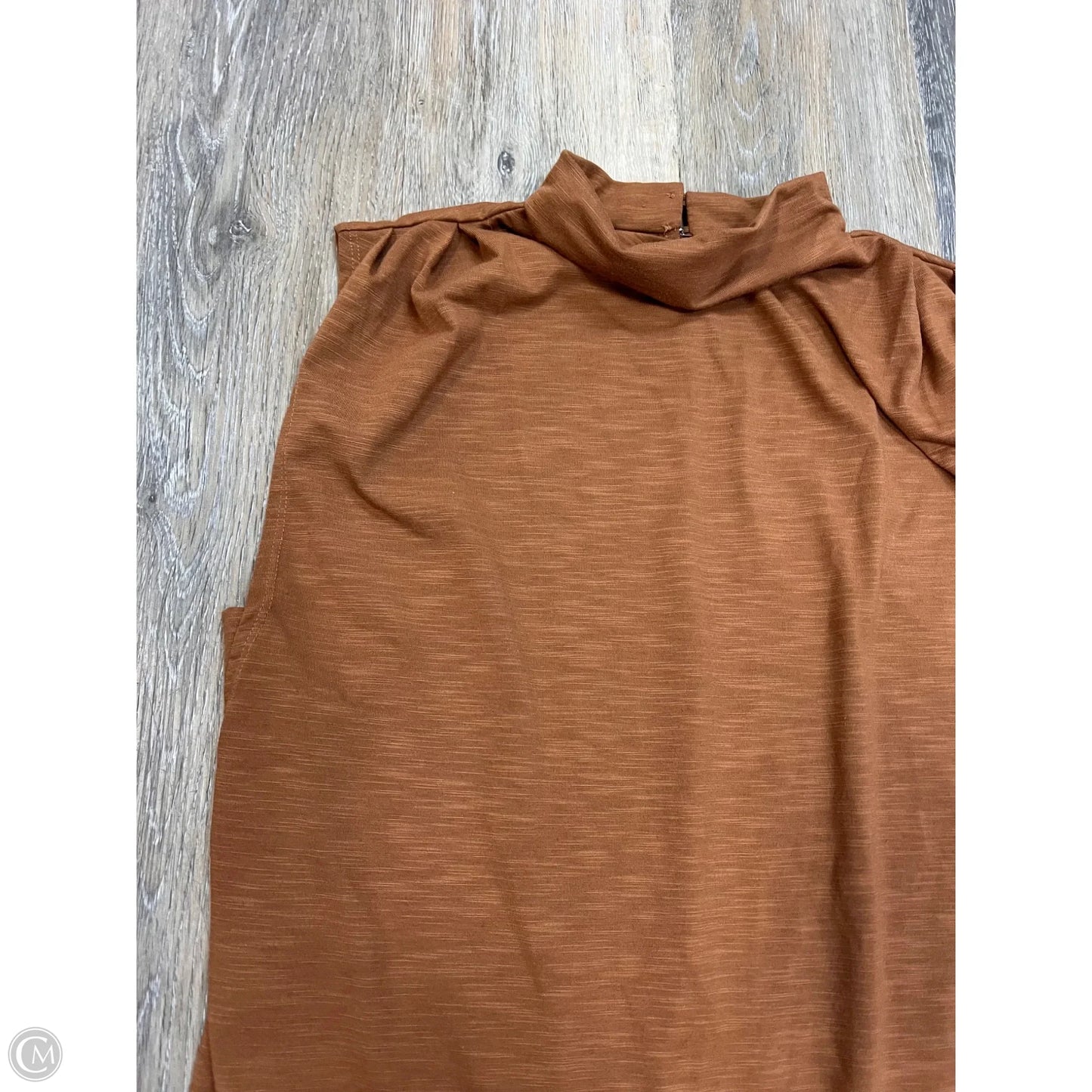 Top Short Sleeve By Evereve In Tan, Size: Xs