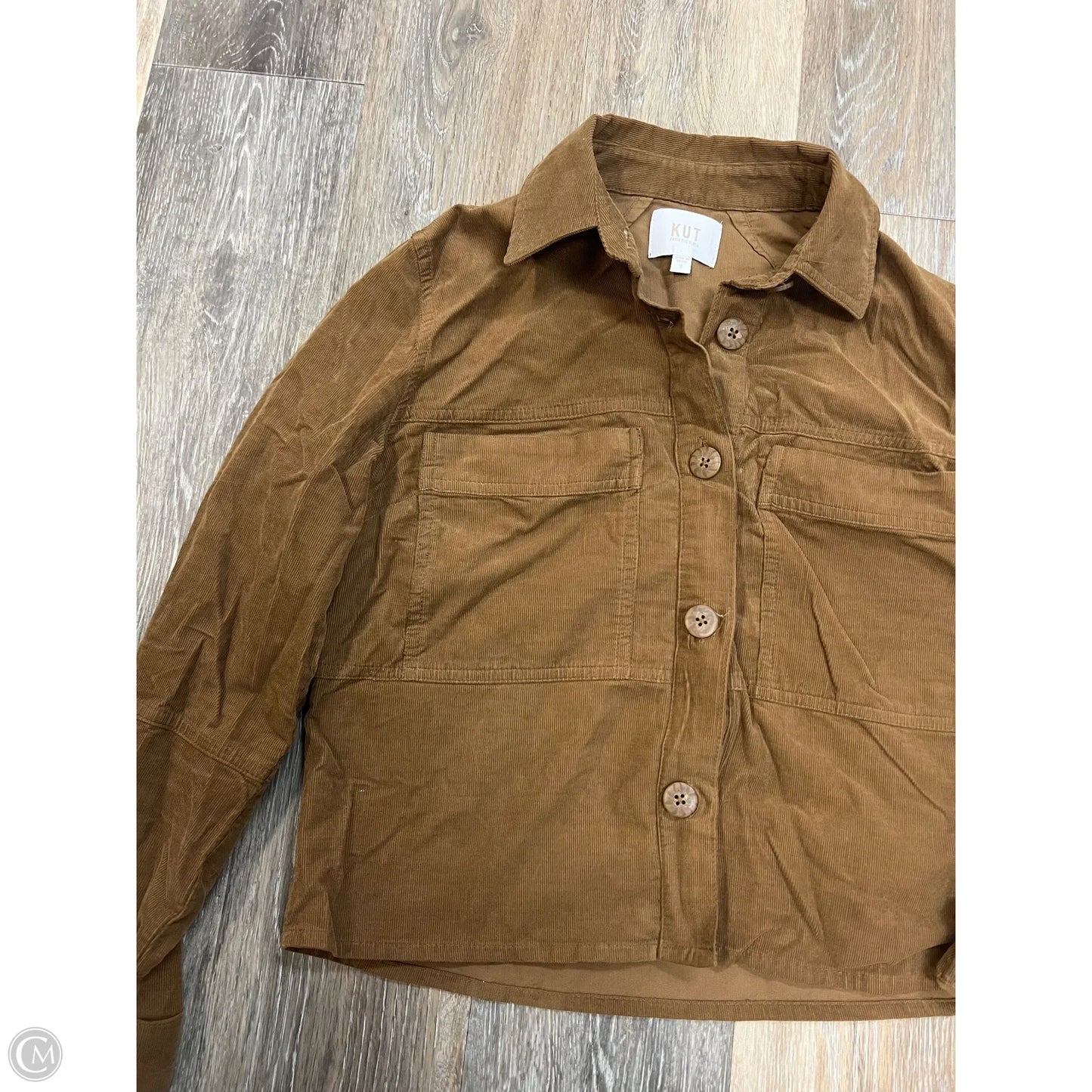 Blouse Long Sleeve By Kut In Taupe, Size: S