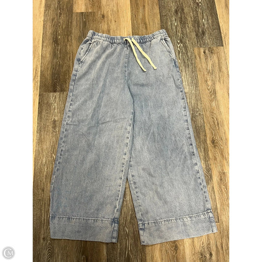 Jeans Wide Leg By Z Supply In Blue Denim, Size: L