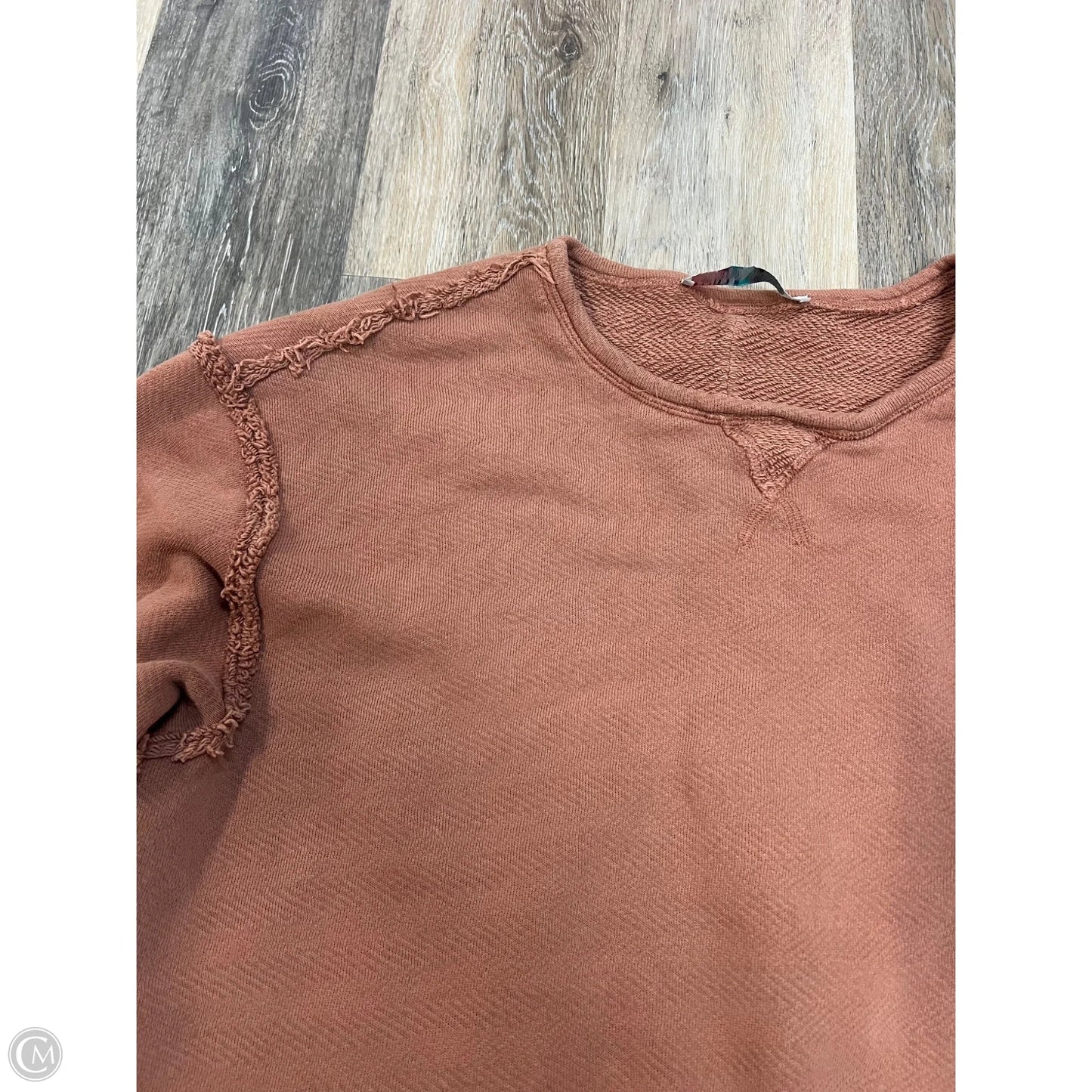 Sweatshirt Crewneck By Free People In Pink, Size: M