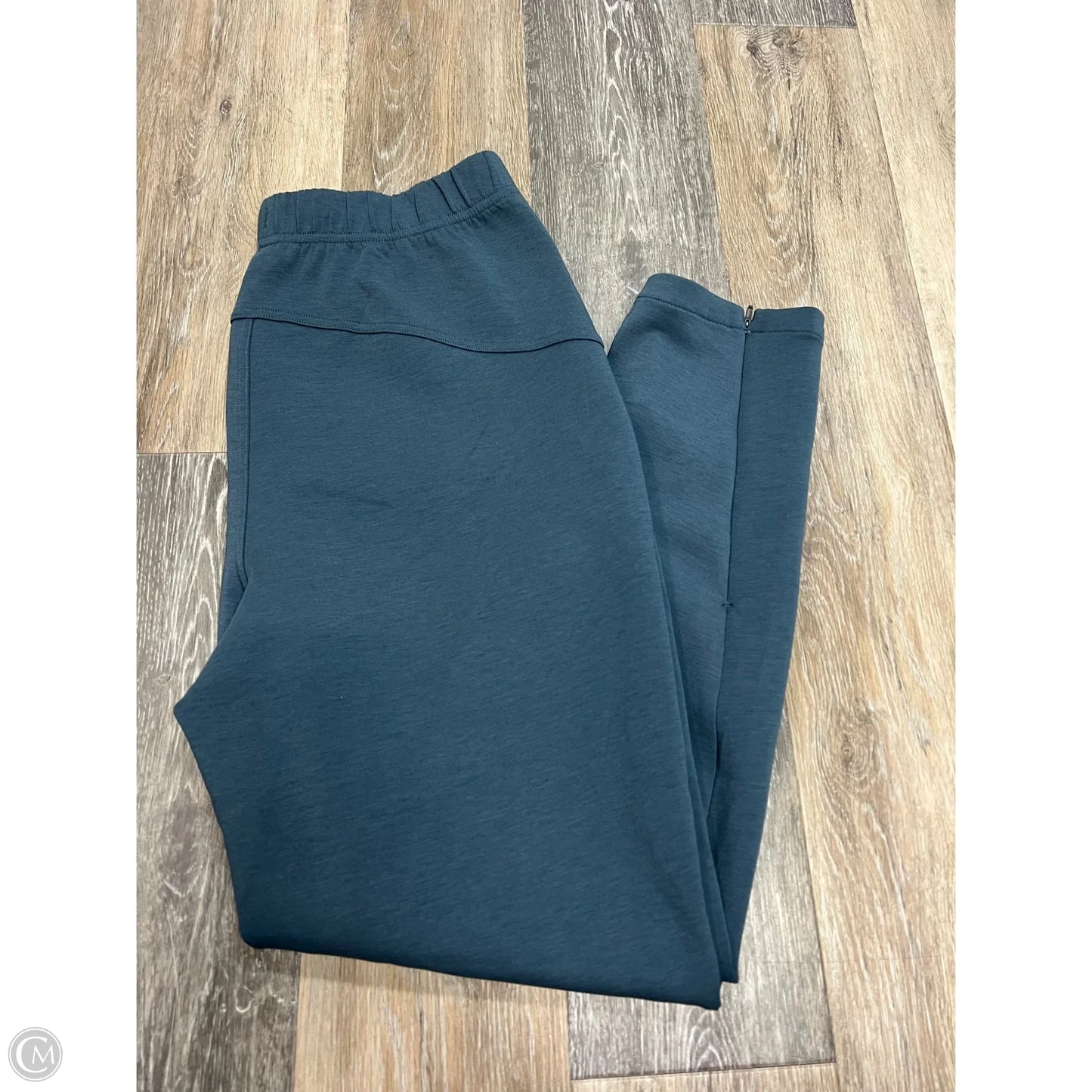 Athletic Pants By Hoka In Blue, Size: M