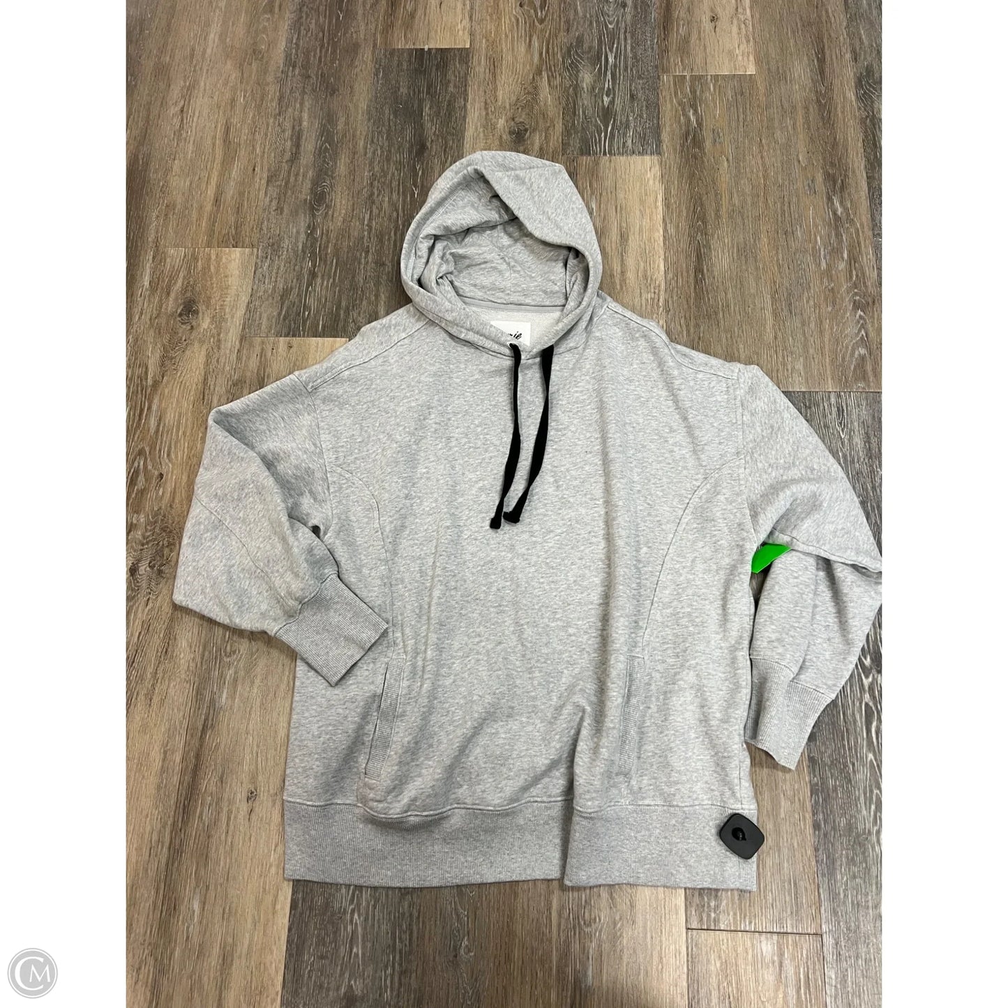 Sweatshirt Hoodie By Aerie In Grey, Size: L