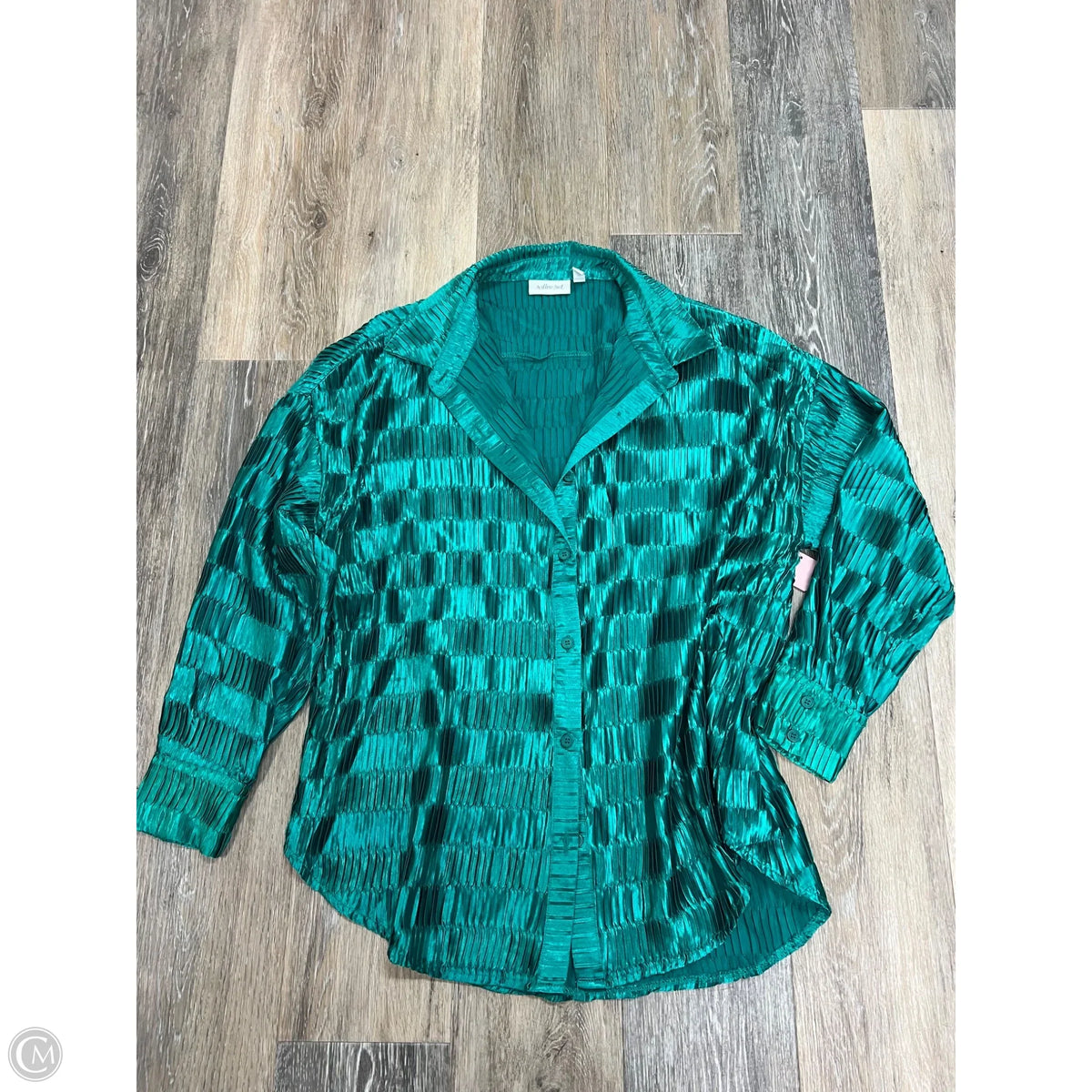 Blouse Long Sleeve By Willow & Root In Teal, Size: S