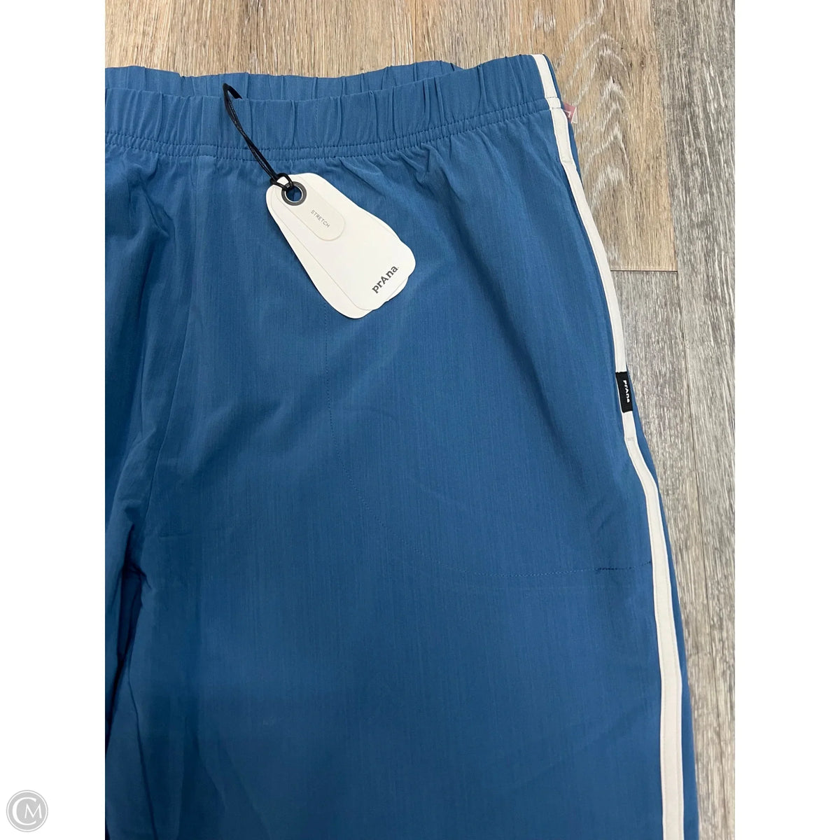 Athletic Pants By Prana In Blue, Size: L