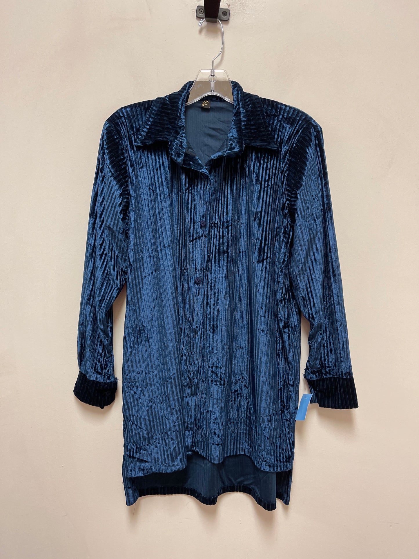 Blouse Long Sleeve By Clothes Mentor In Blue, Size: L