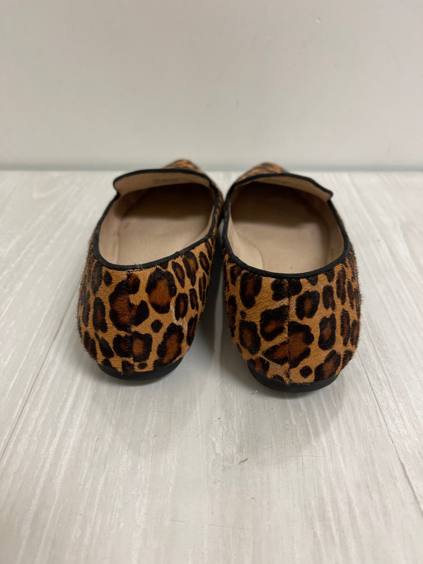 Shoes Flats By Gianni Bini In Animal Print, Size: 7