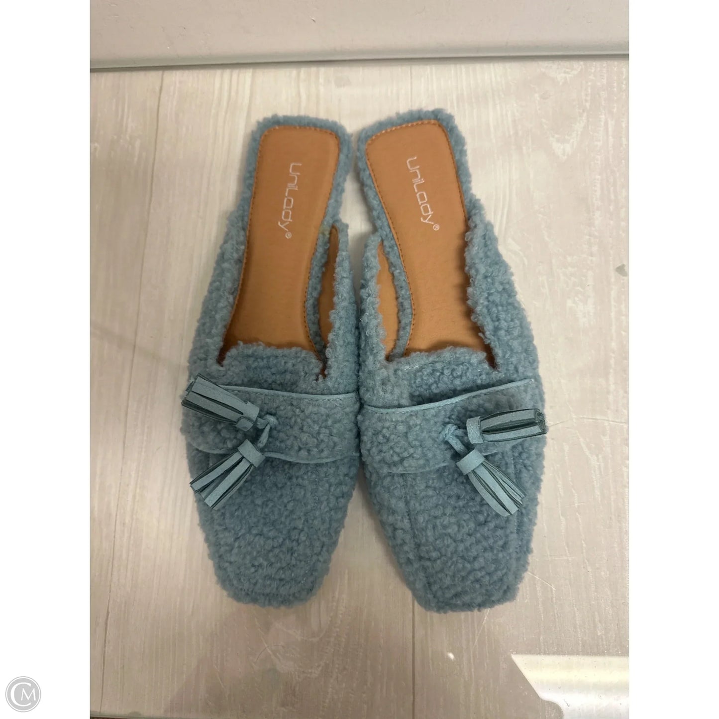 Shoes Flats By Clothes Mentor In Blue, Size: 10
