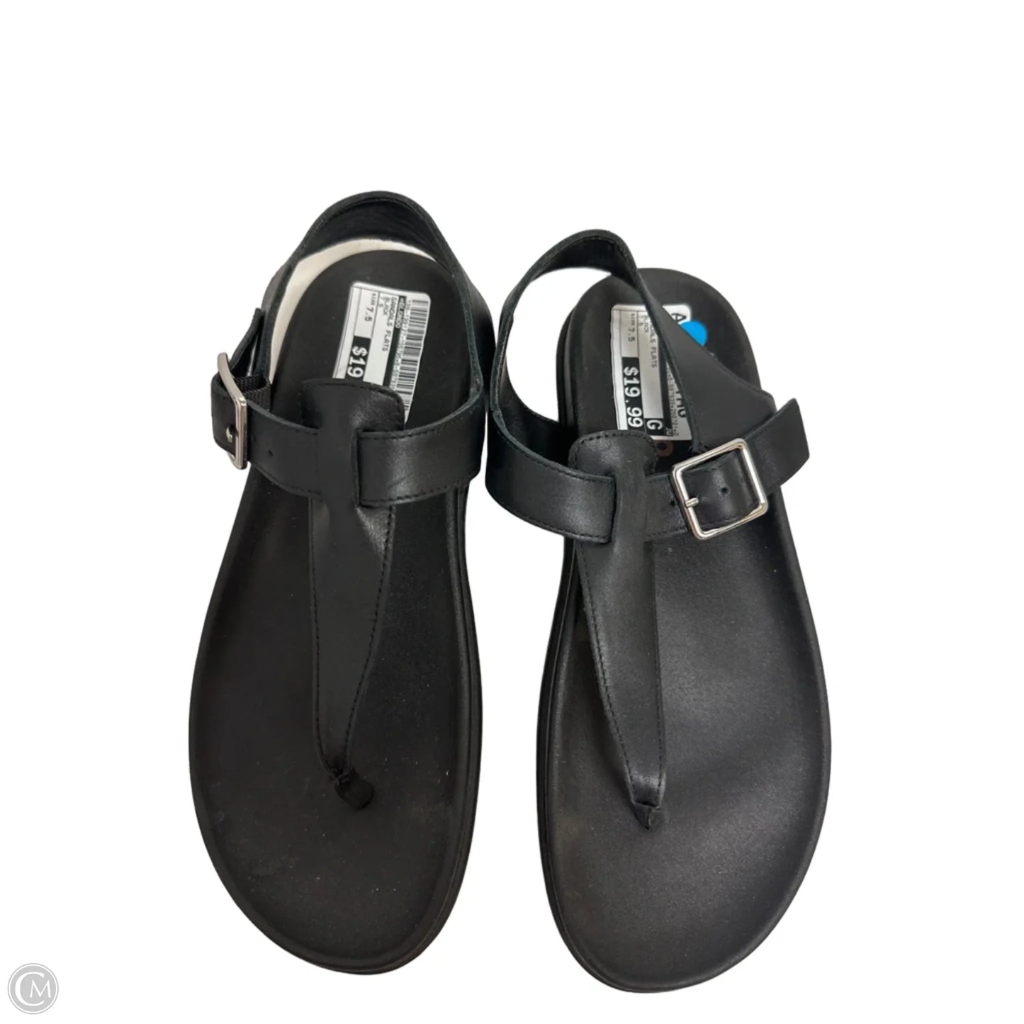 Sandals Flats By Blondo In Black, Size: 7.5