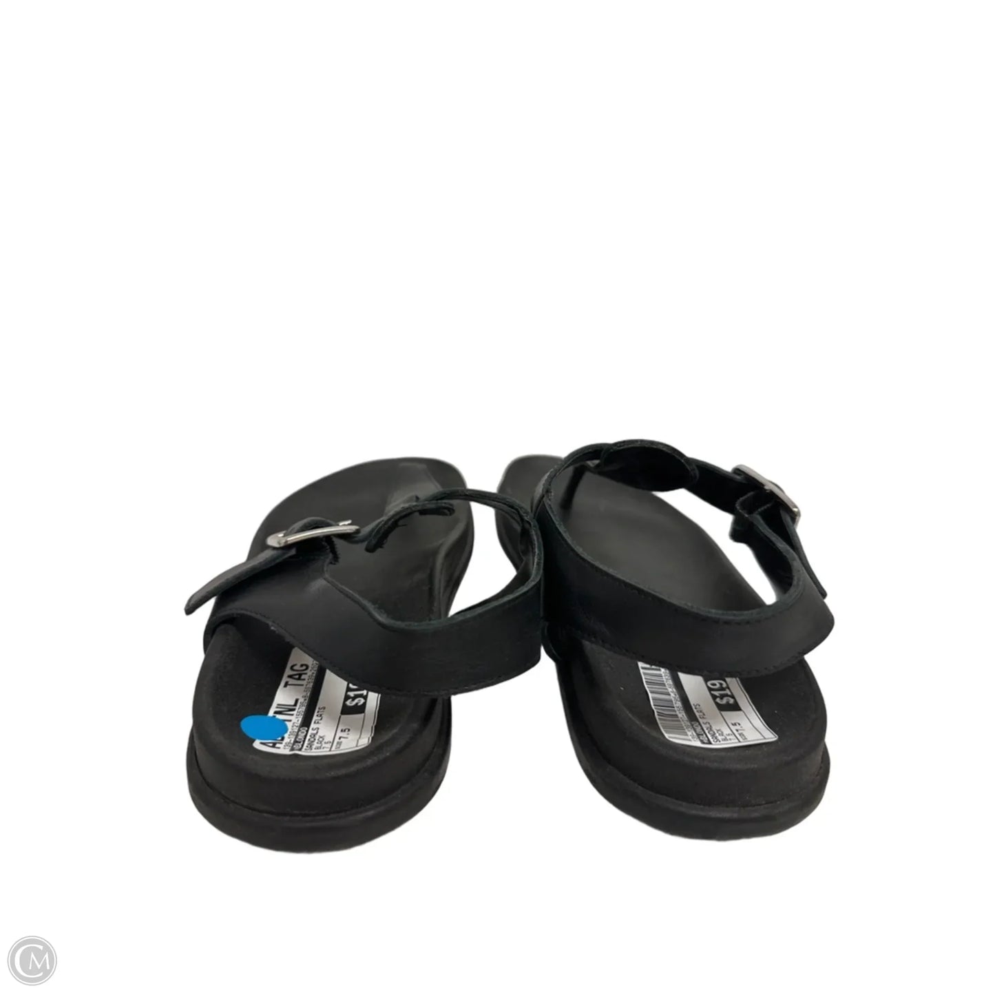 Sandals Flats By Blondo In Black, Size: 7.5