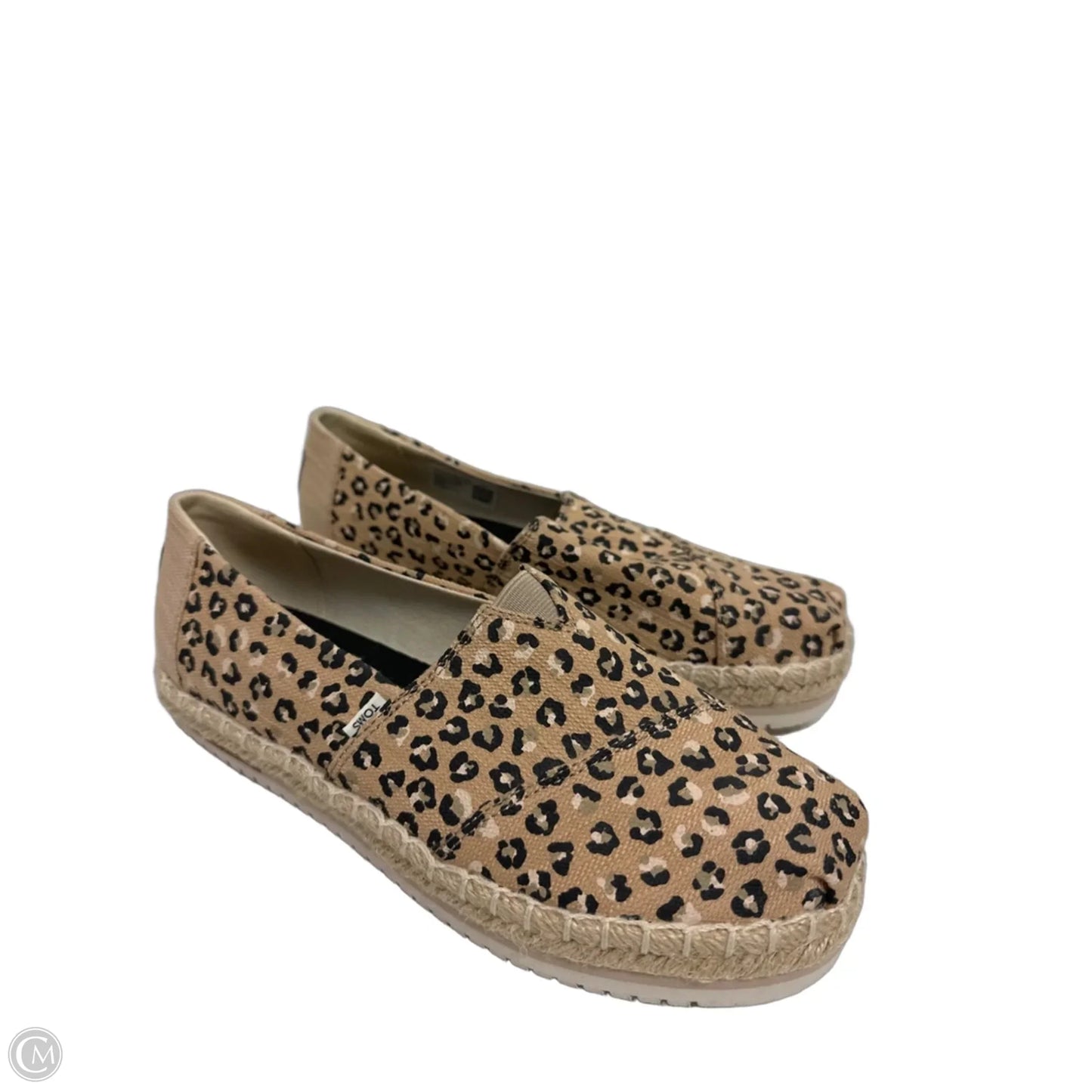 Shoes Flats By Toms In Animal Print, Size: 7