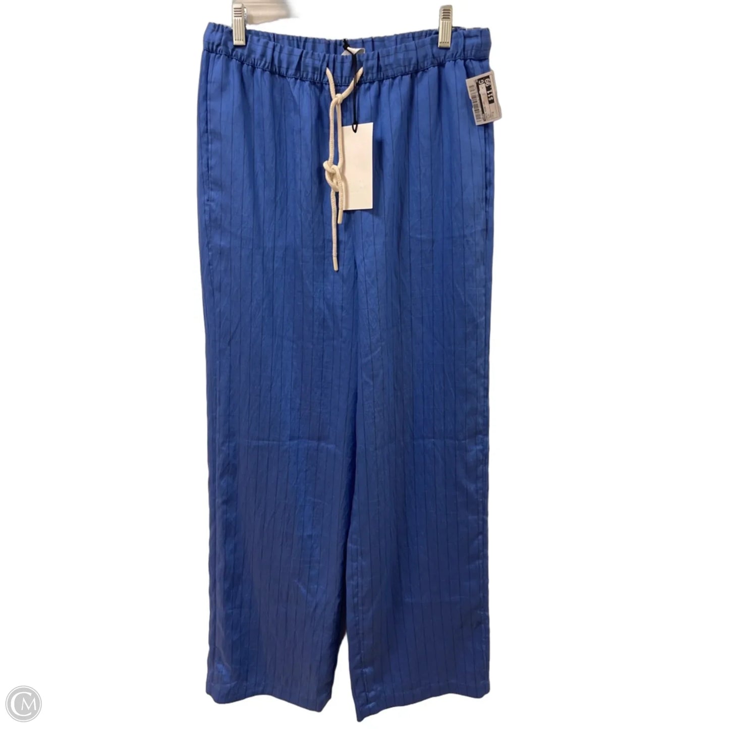 Pants Wide Leg By Zara In Blue, Size: 2
