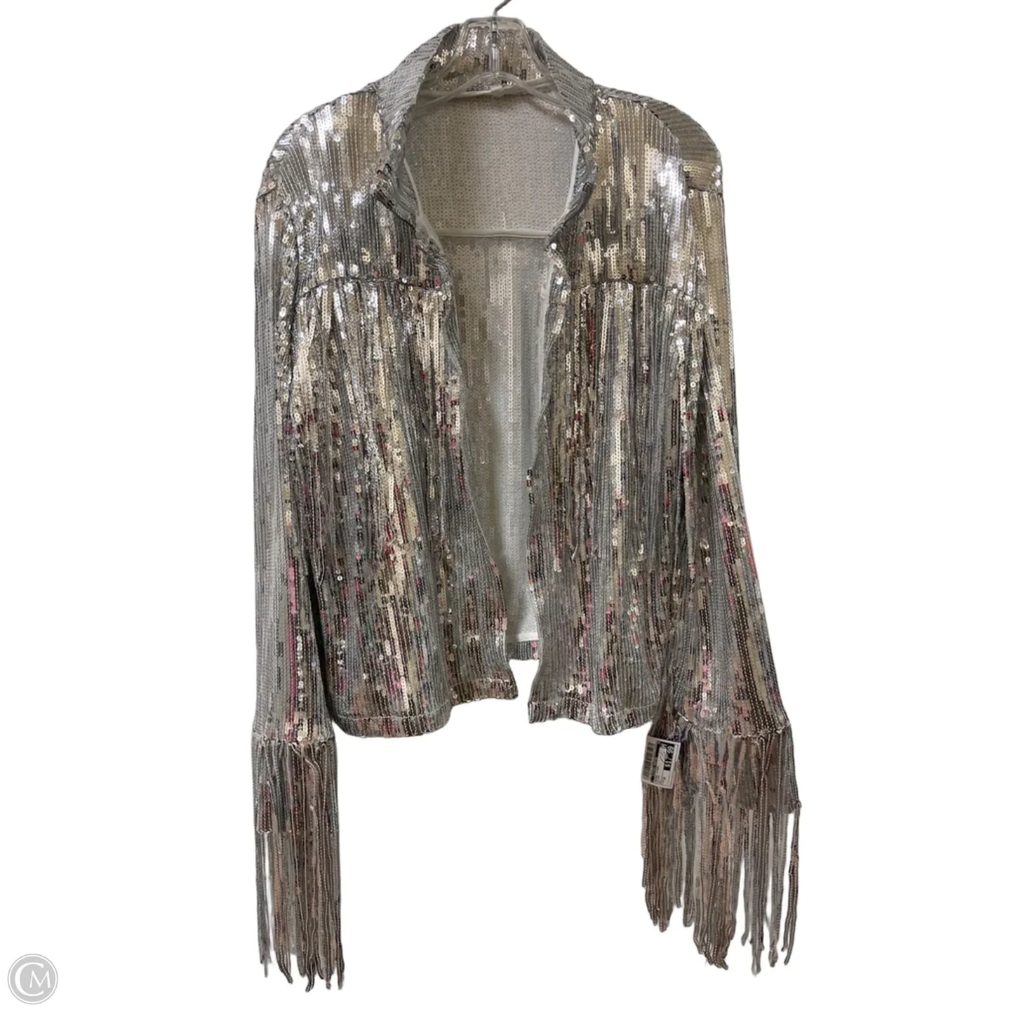 Jacket Other By Clothes Mentor In Silver, Size: 3x