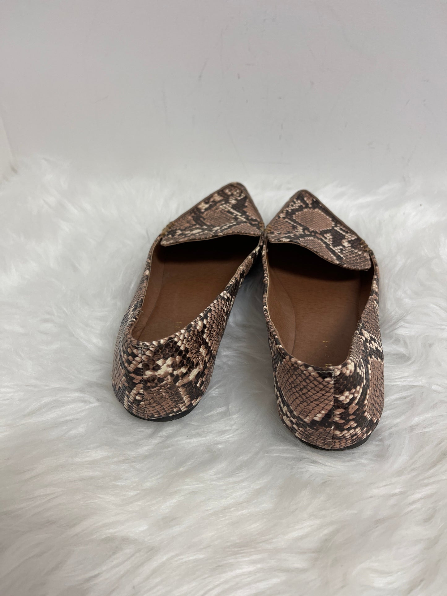 Snakeskin Print Shoes Flats Madden Girl, Size 8.5