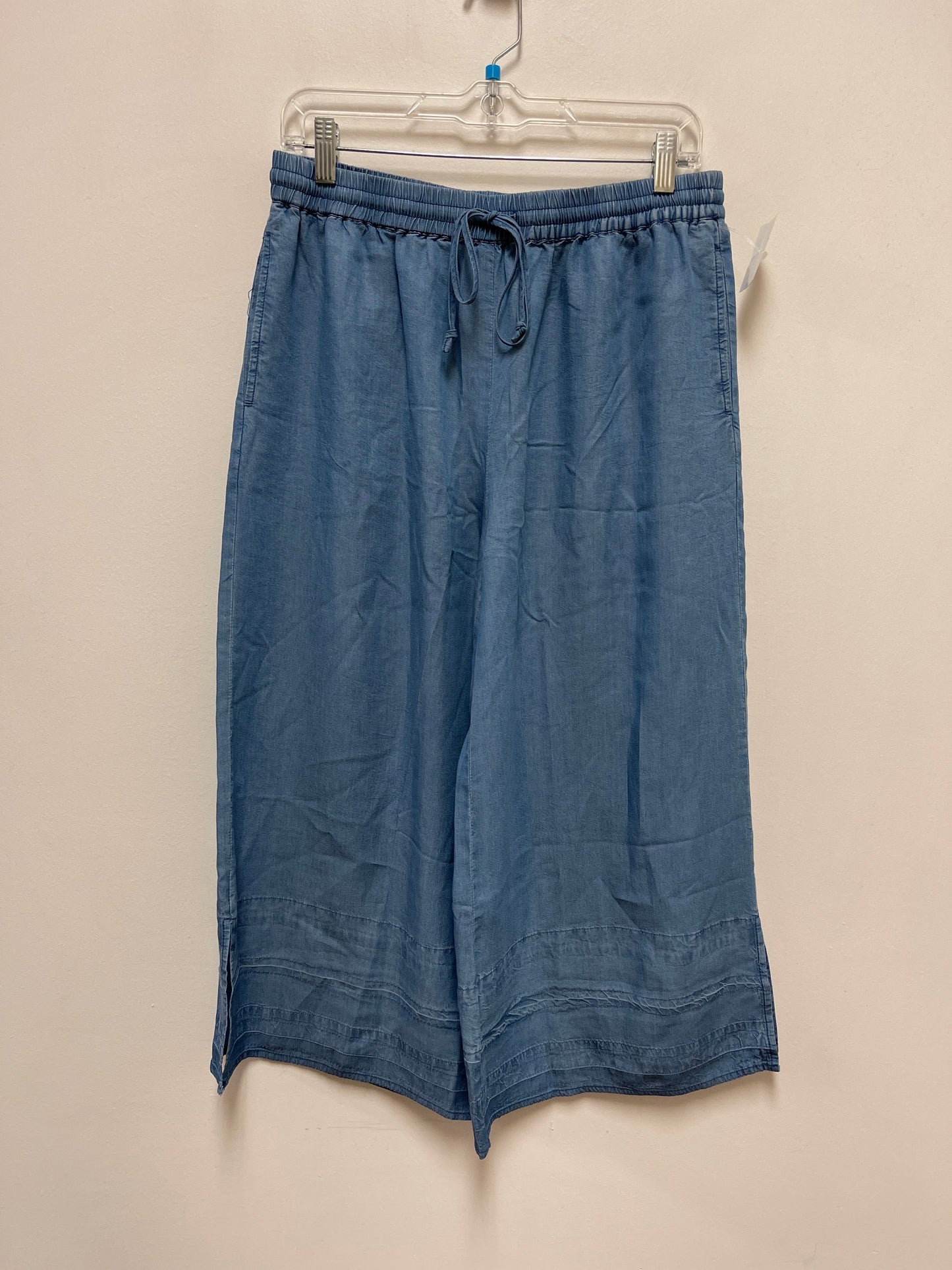 Pants Wide Leg By Clothes Mentor In Blue, Size: M