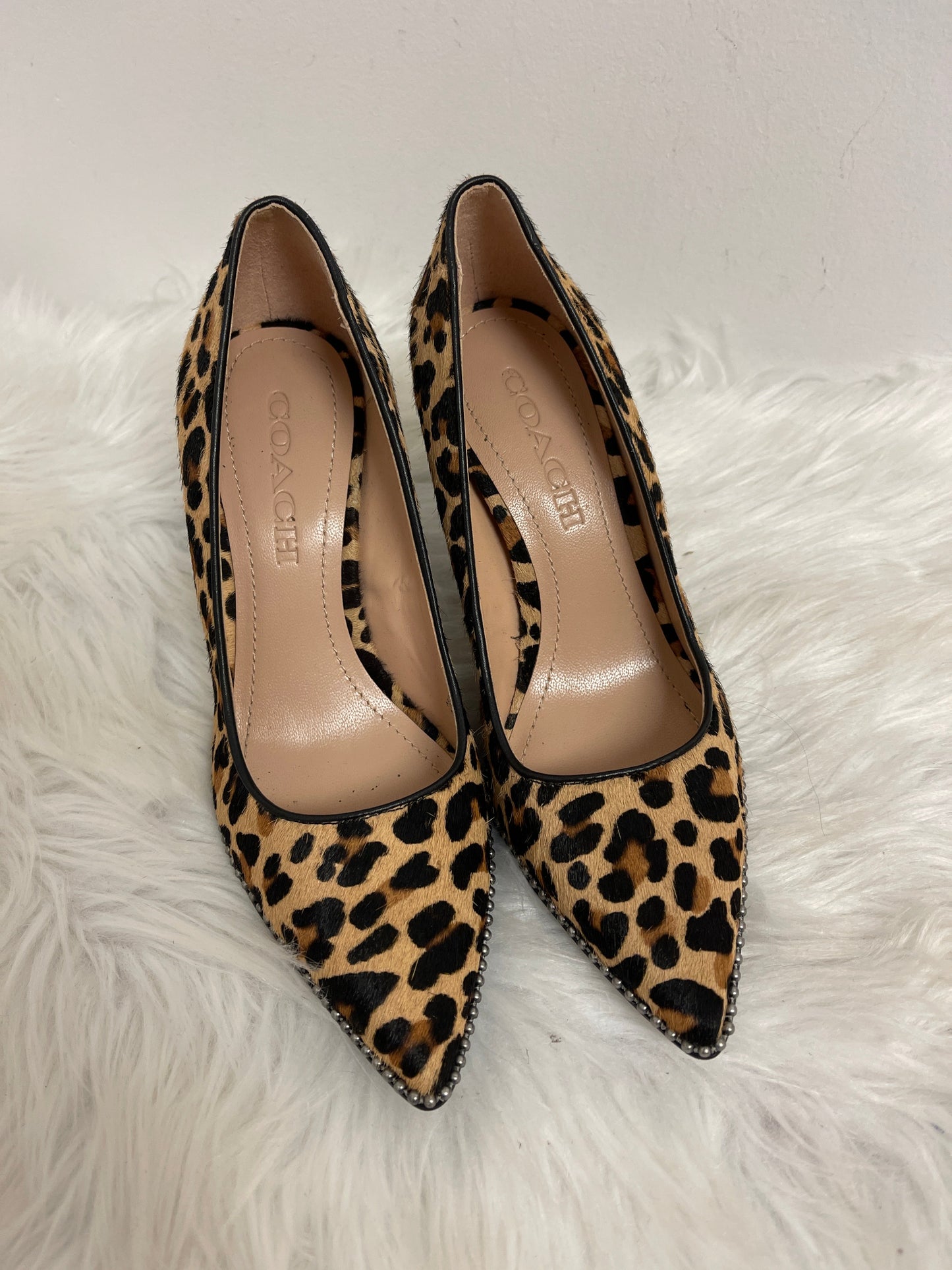 Shoes Designer By Coach In Animal Print, Size: 5