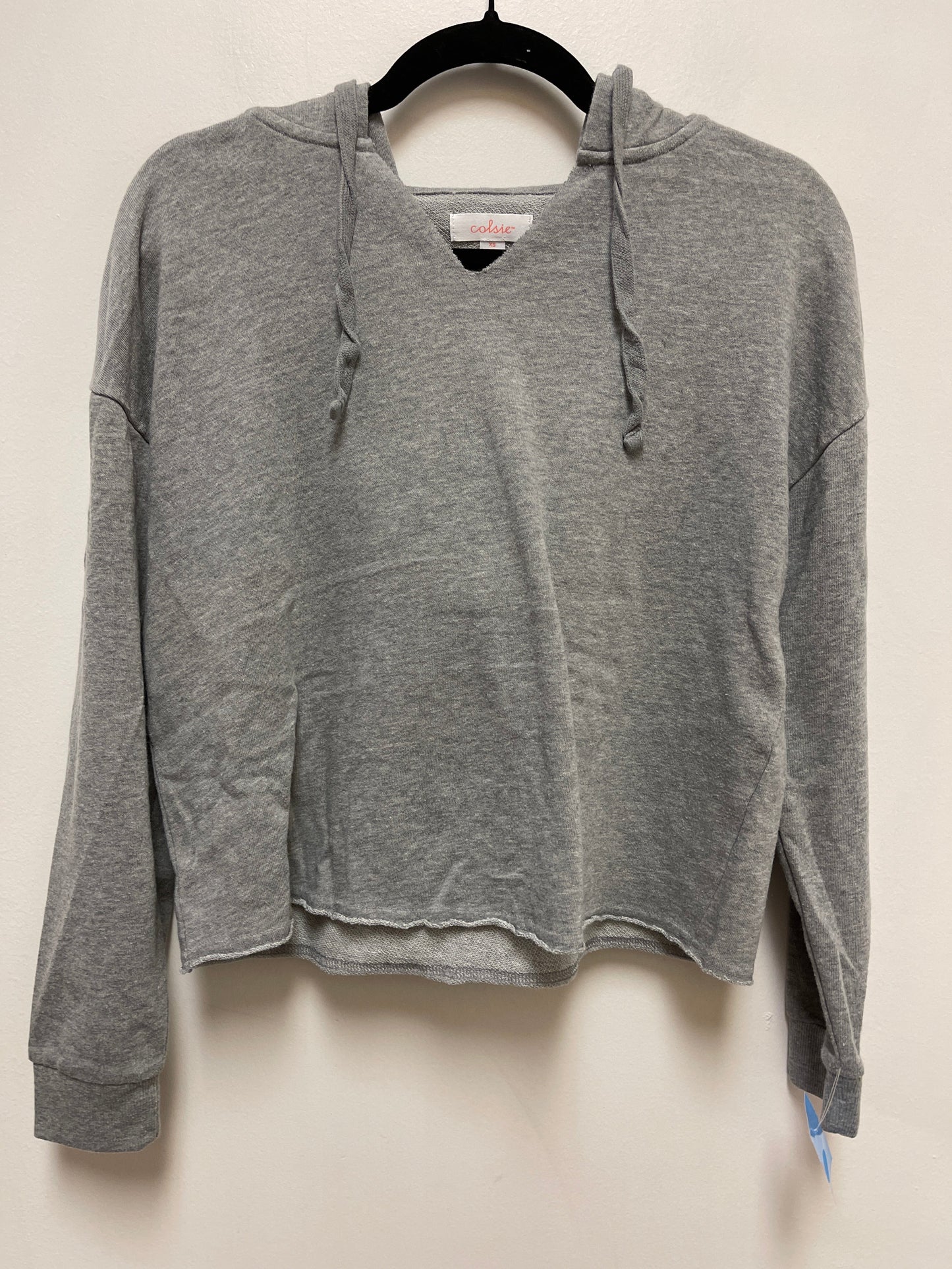 Sweatshirt Hoodie By Colsie In Grey, Size: Xs