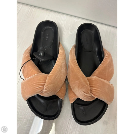 Sandals Luxury Designer By Chloe In Peach, Size: 11