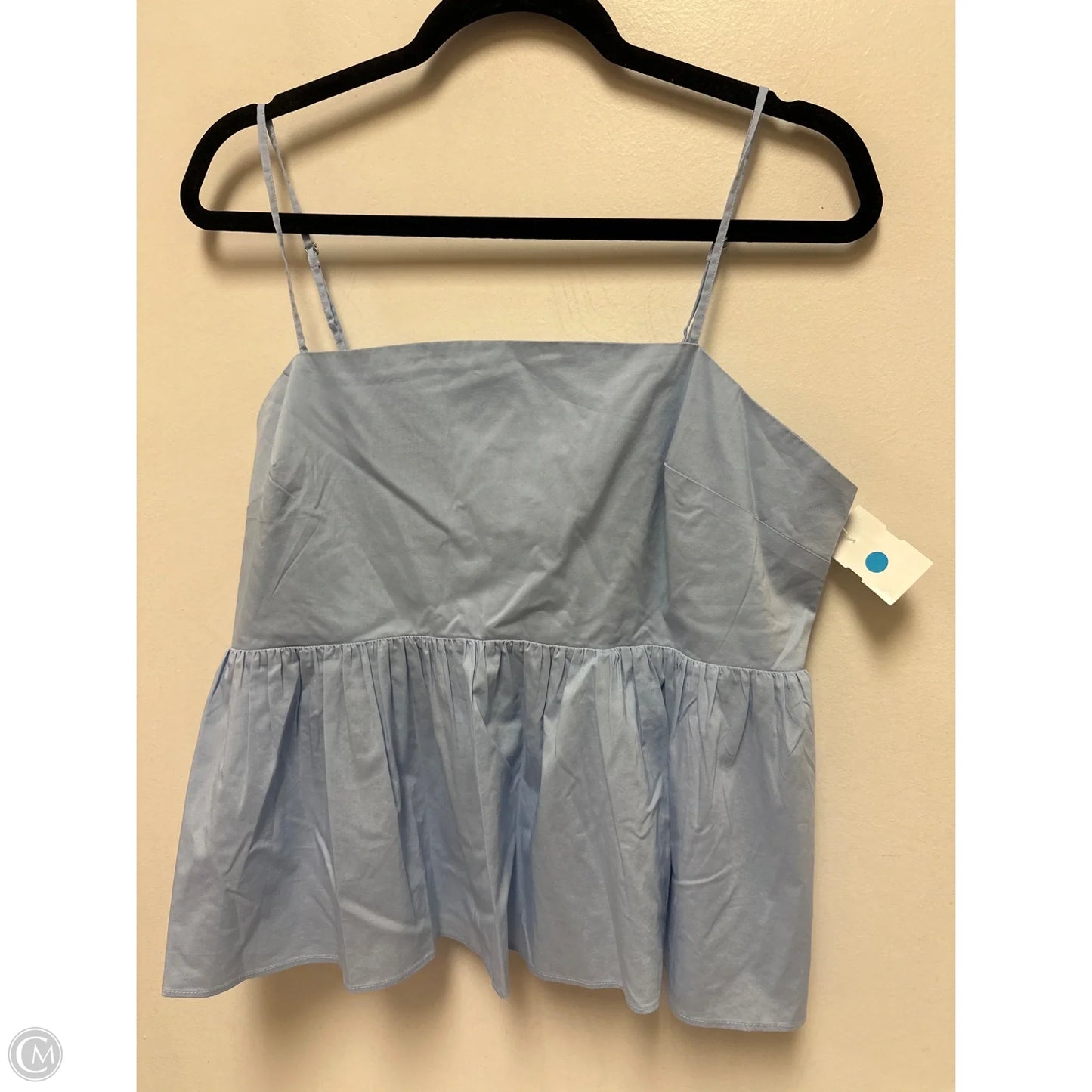 Top Sleeveless By Express In Blue, Size: L