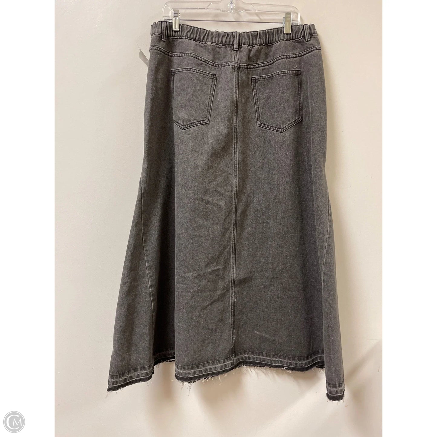 Skirt Maxi By Dr2 In Grey, Size: Xl